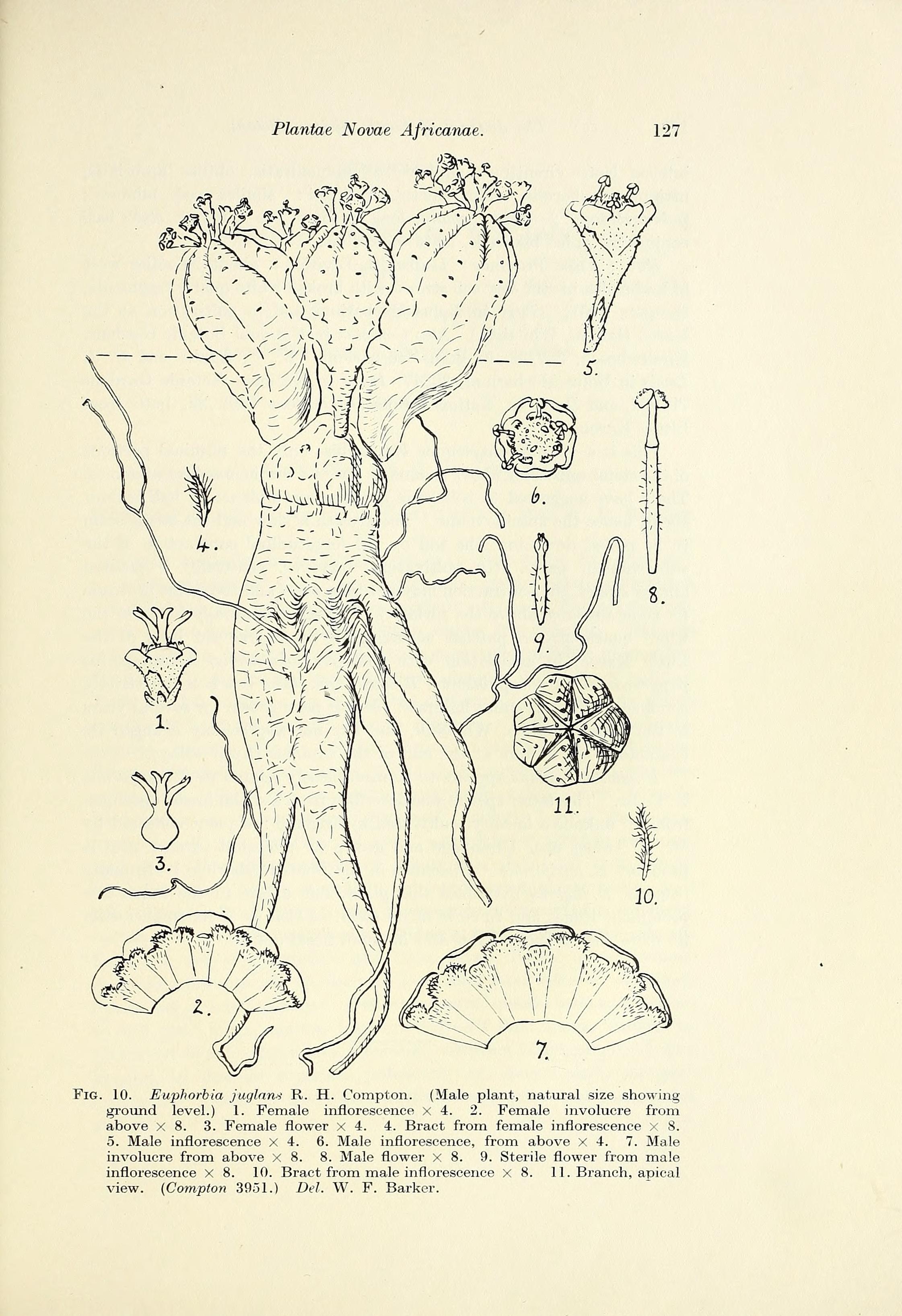 no full size  illustration available (3a)