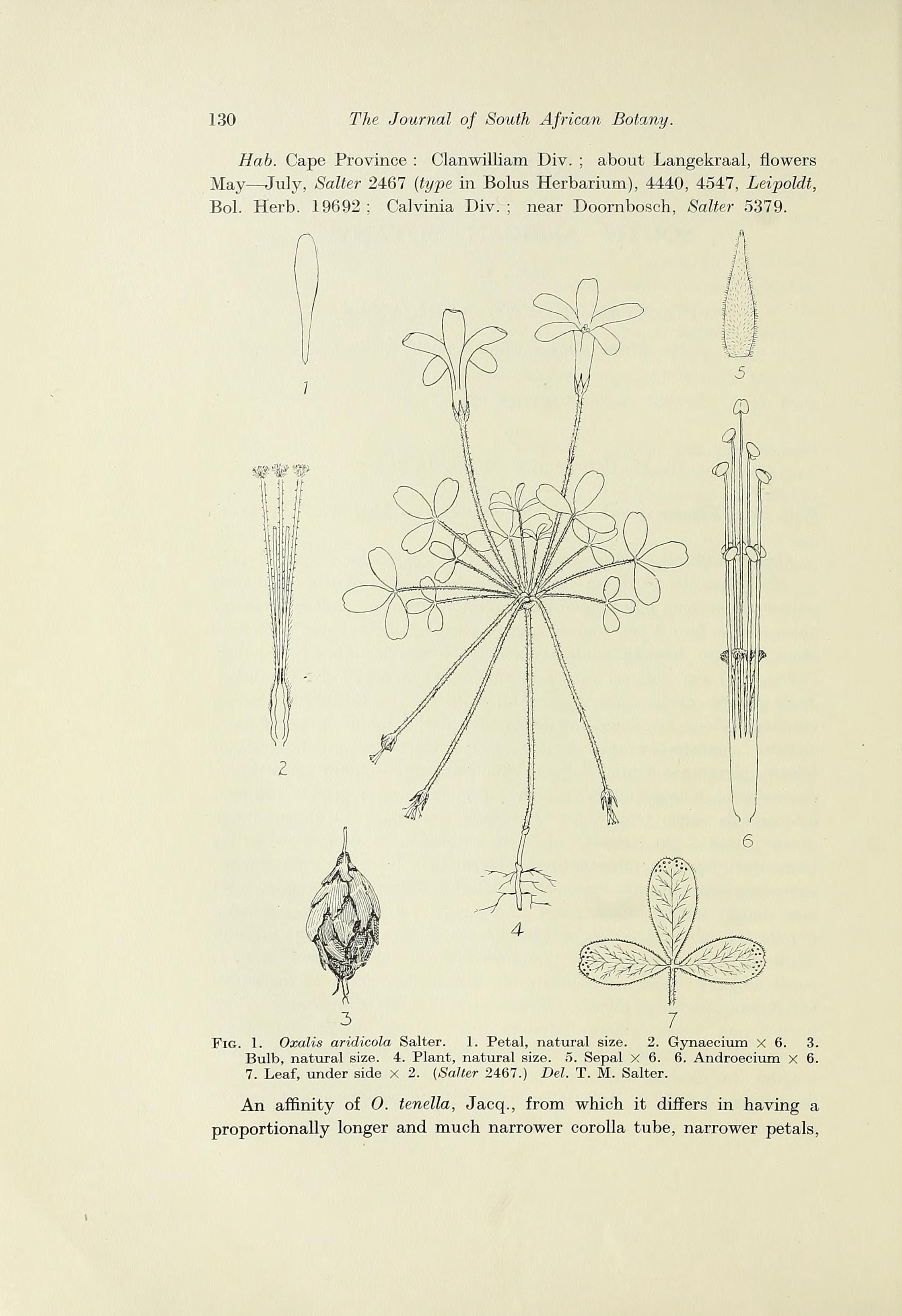 no full size  illustration available (3a)