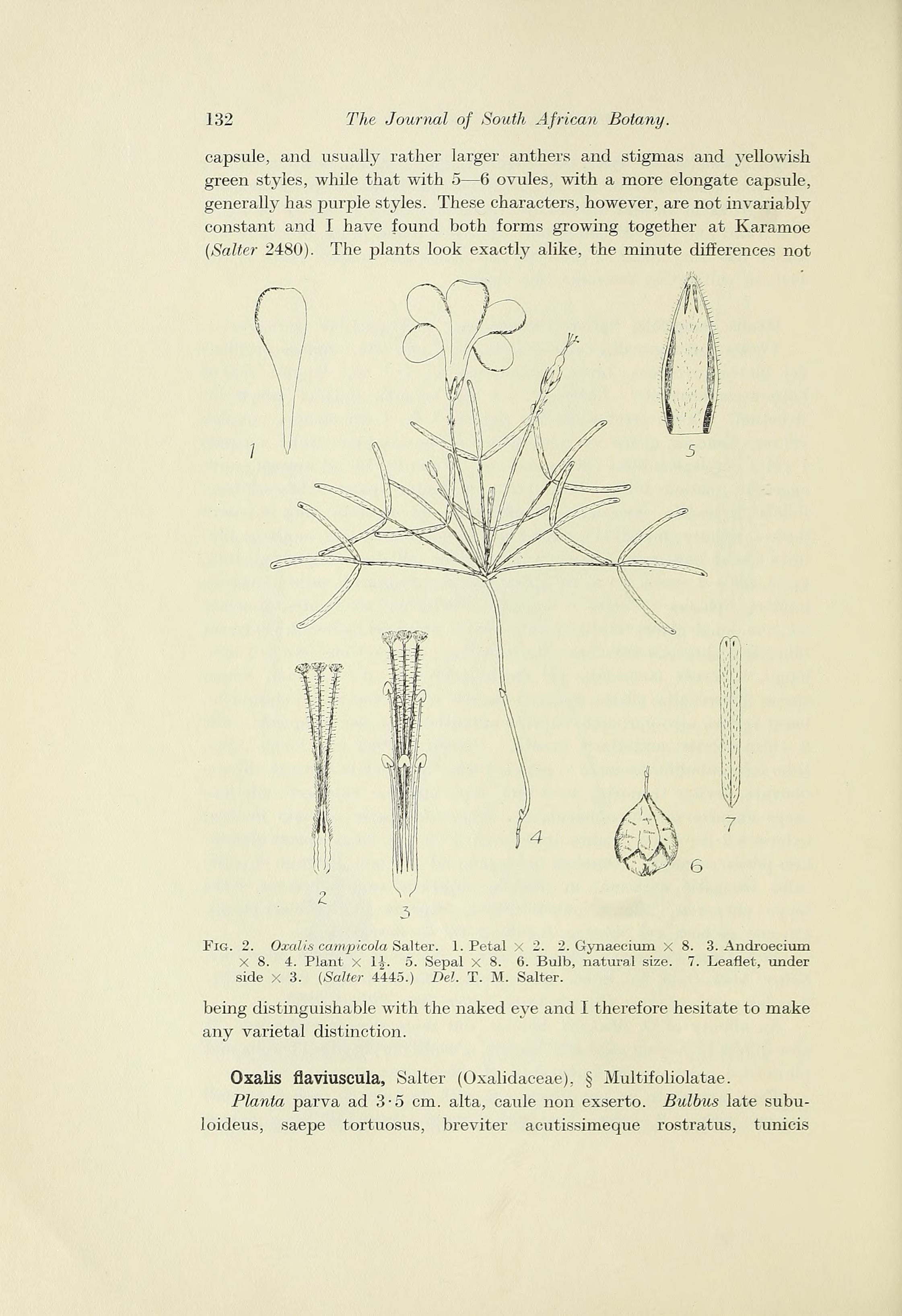 no full size  illustration available (3a)