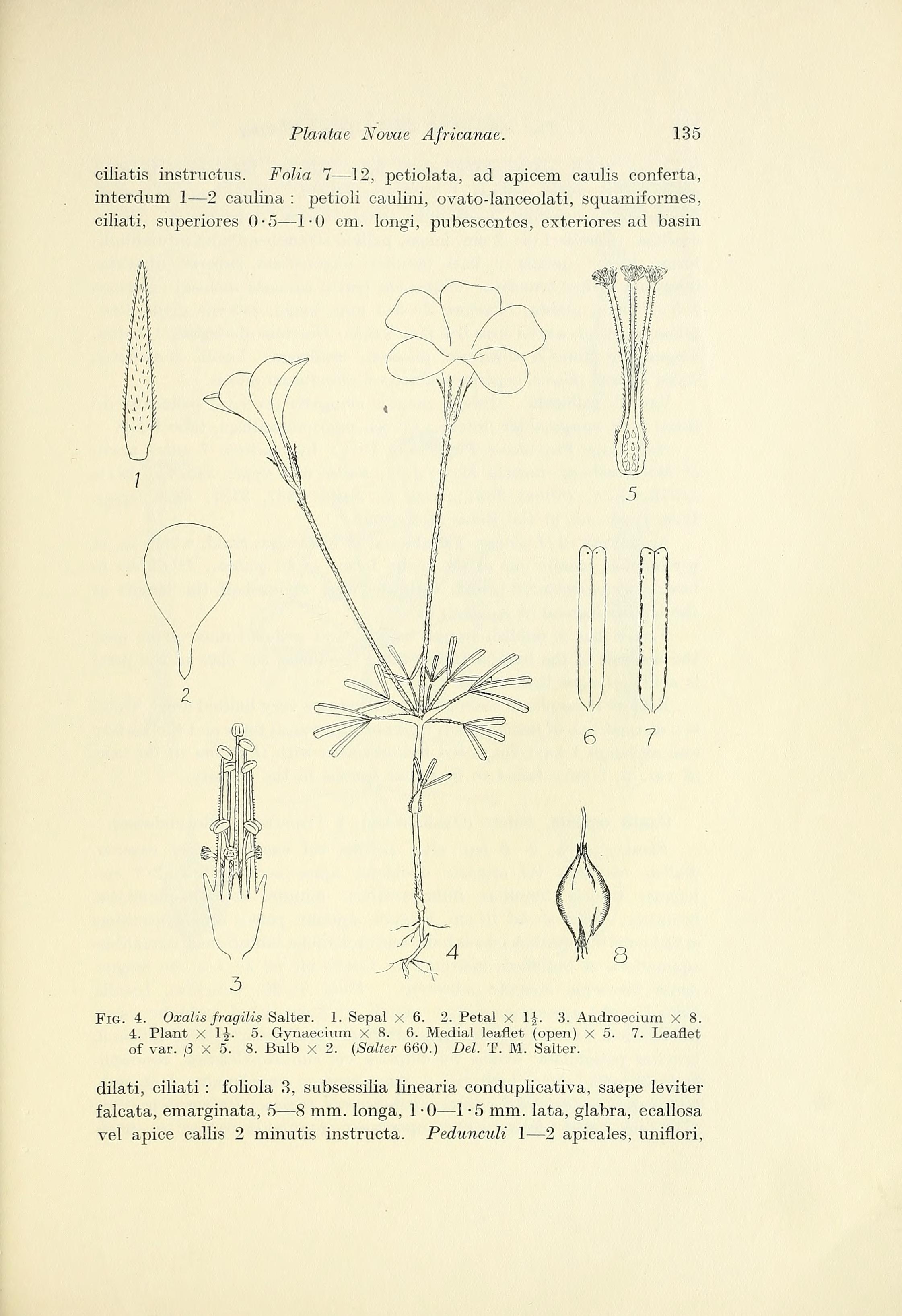 no full size  illustration available (3a)