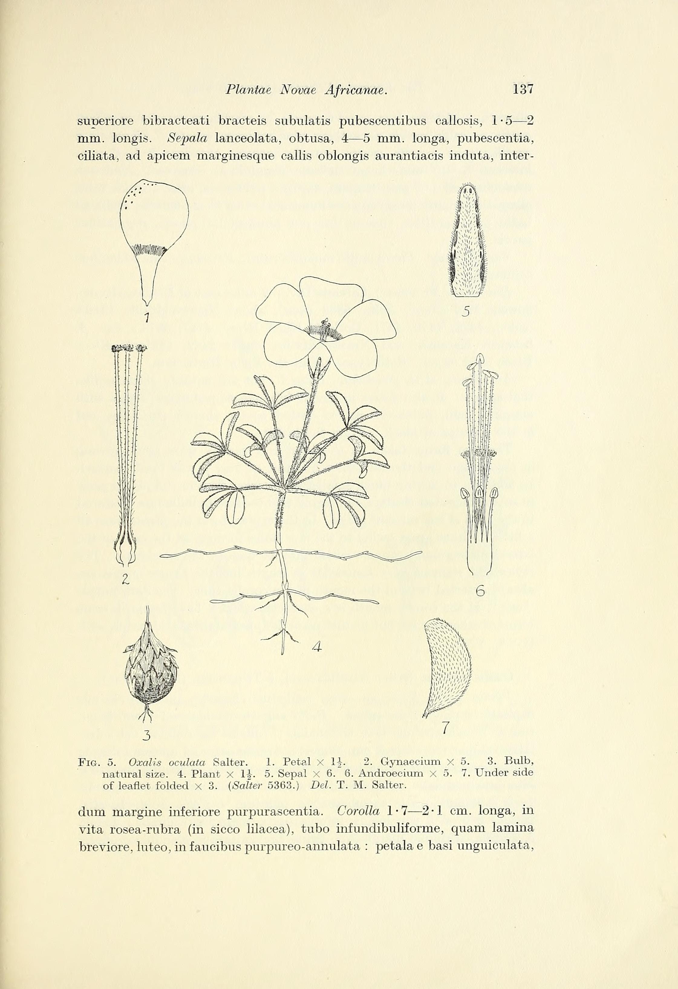 no full size  illustration available (3a)