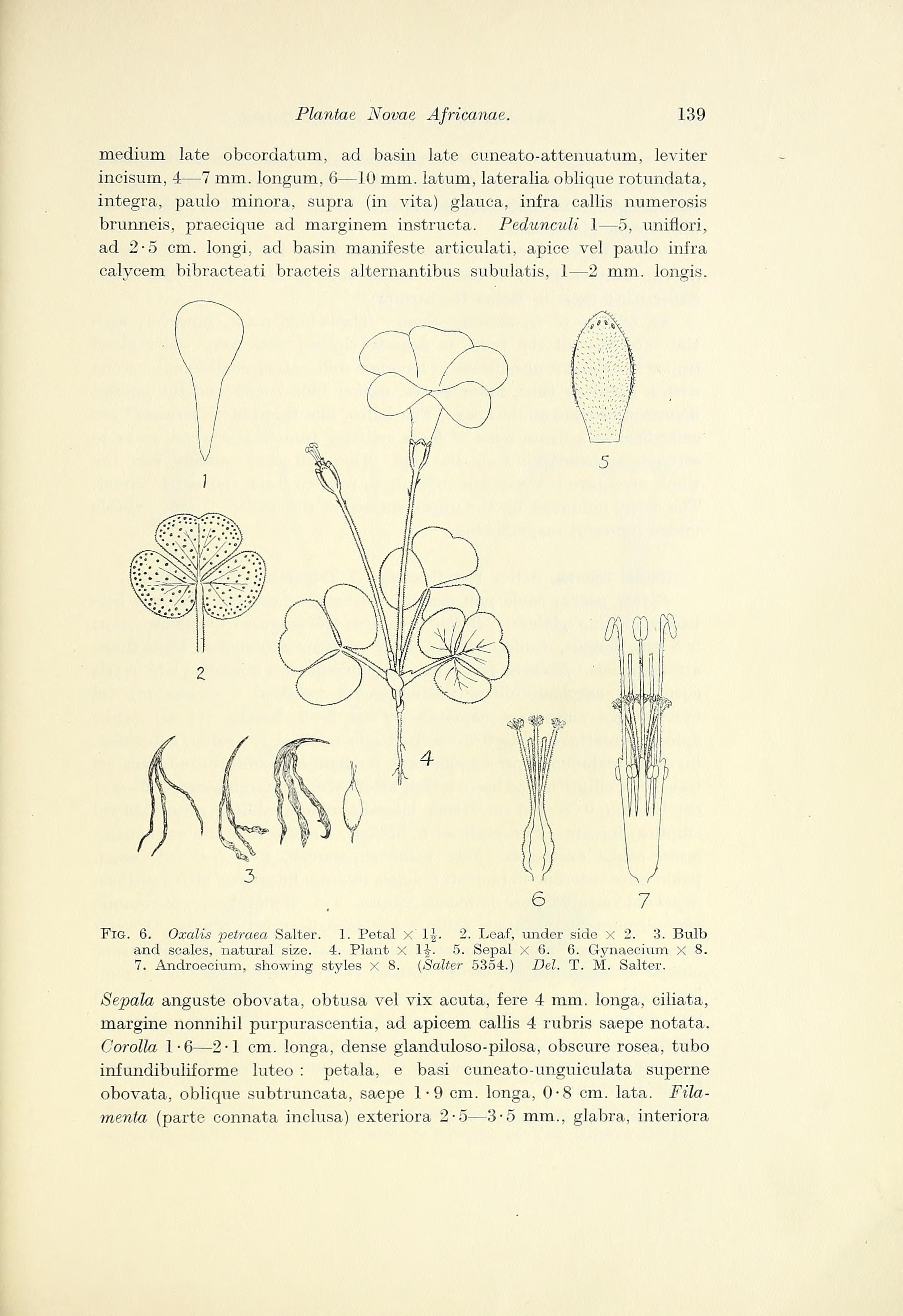 no full size  illustration available (3a)