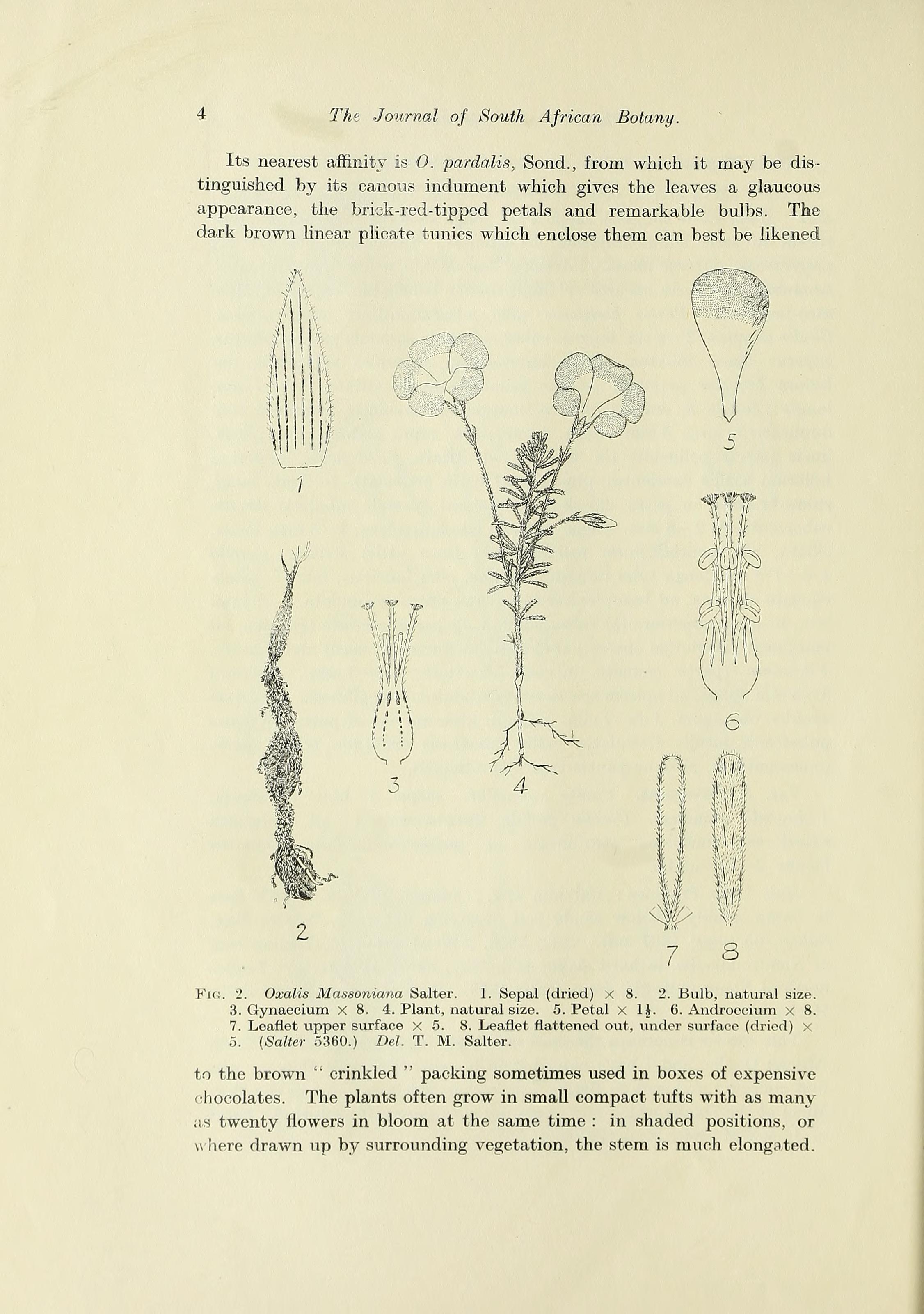 no full size  illustration available (3a)