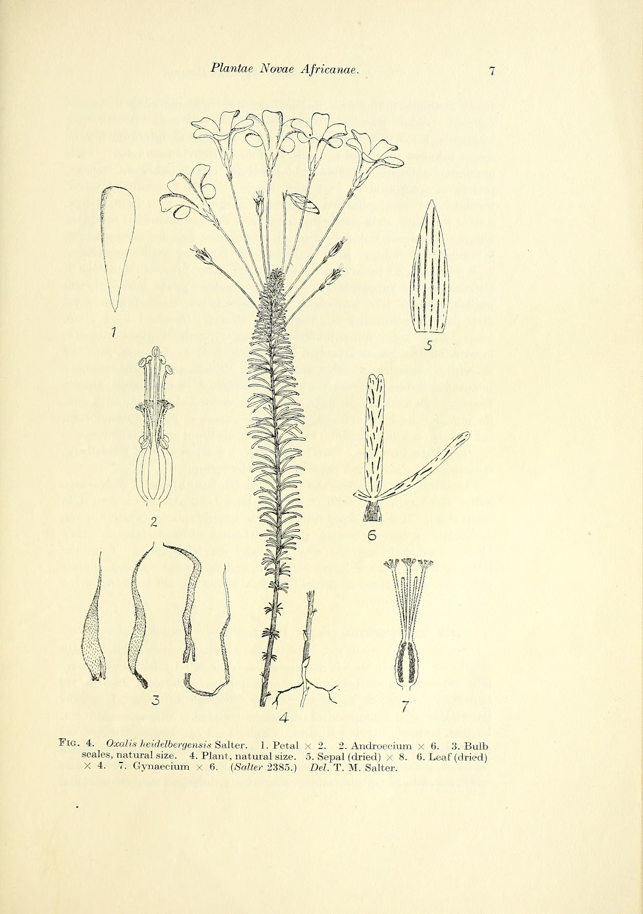 no full size  illustration available (3a)