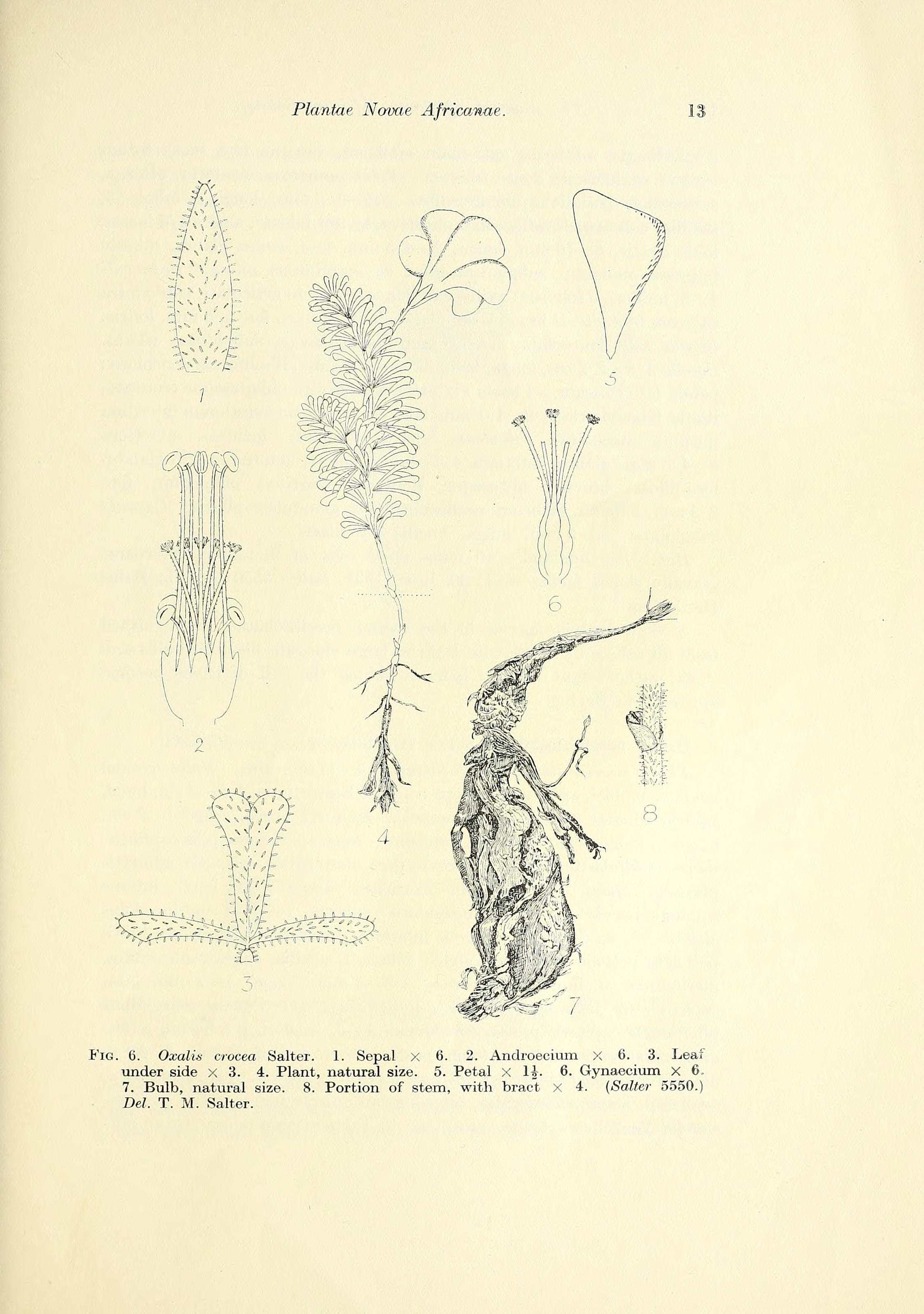 no full size  illustration available (3a)