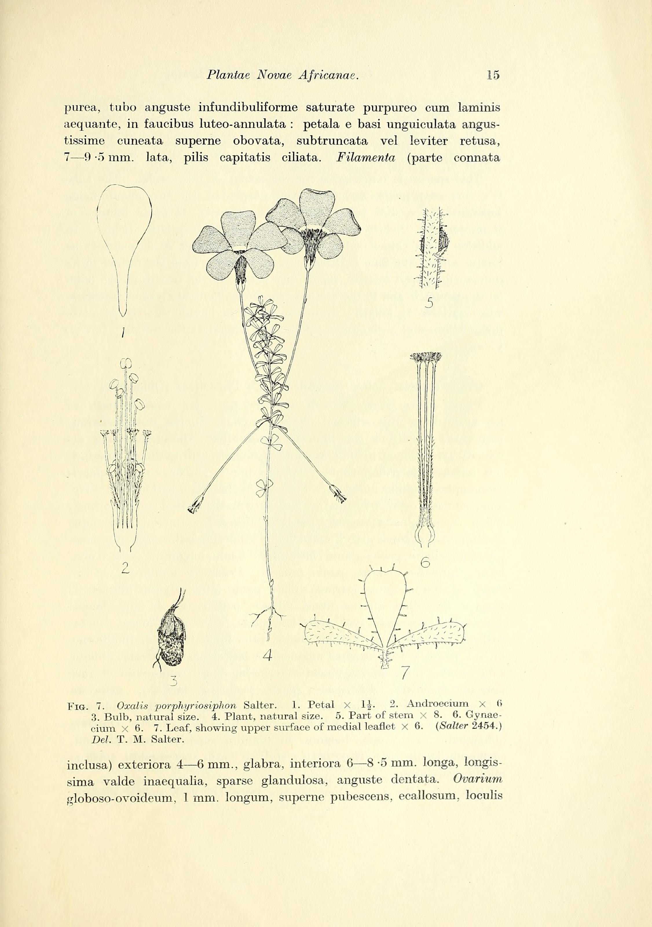 no full size  illustration available (3a)