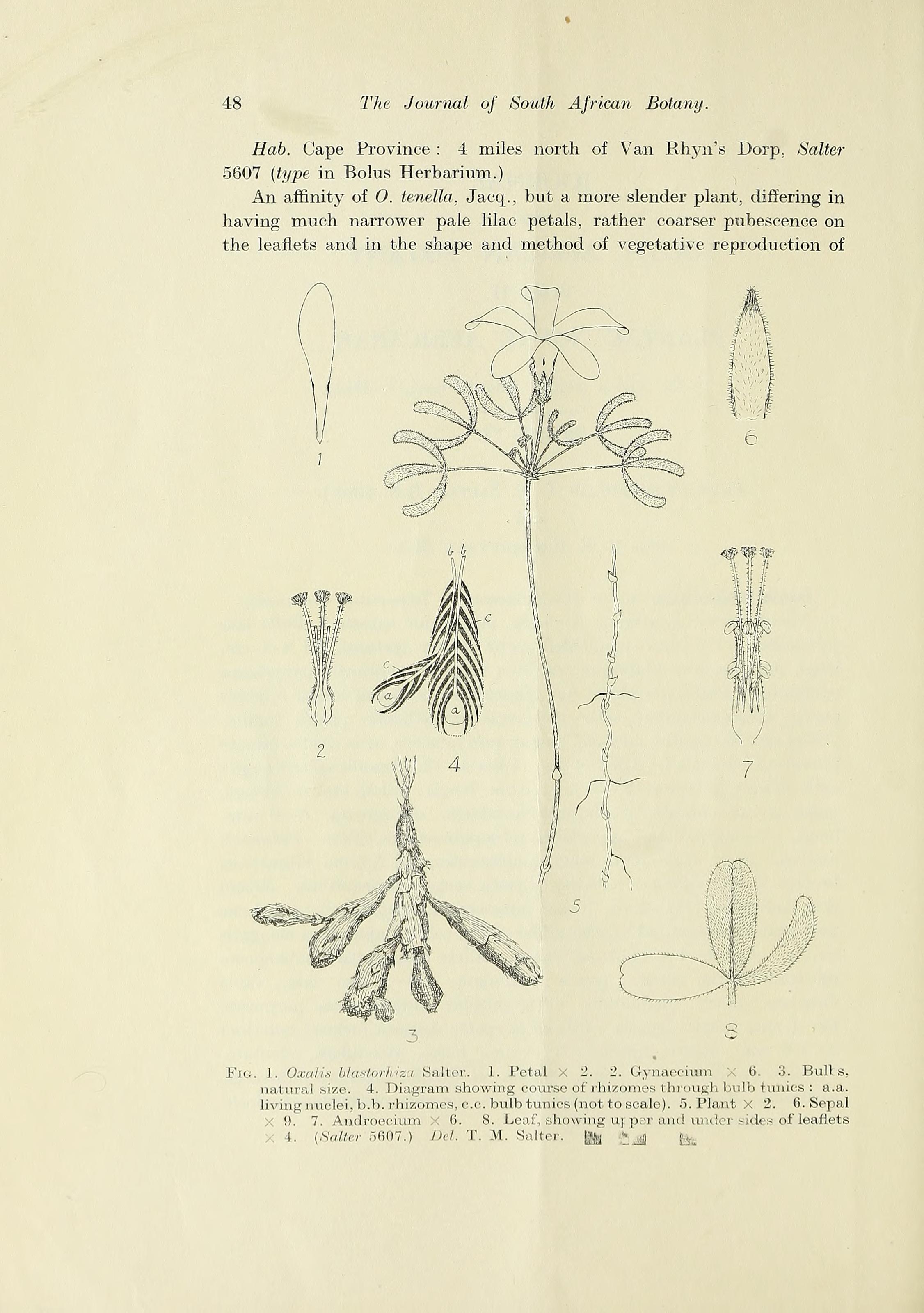 no full size  illustration available (3a)