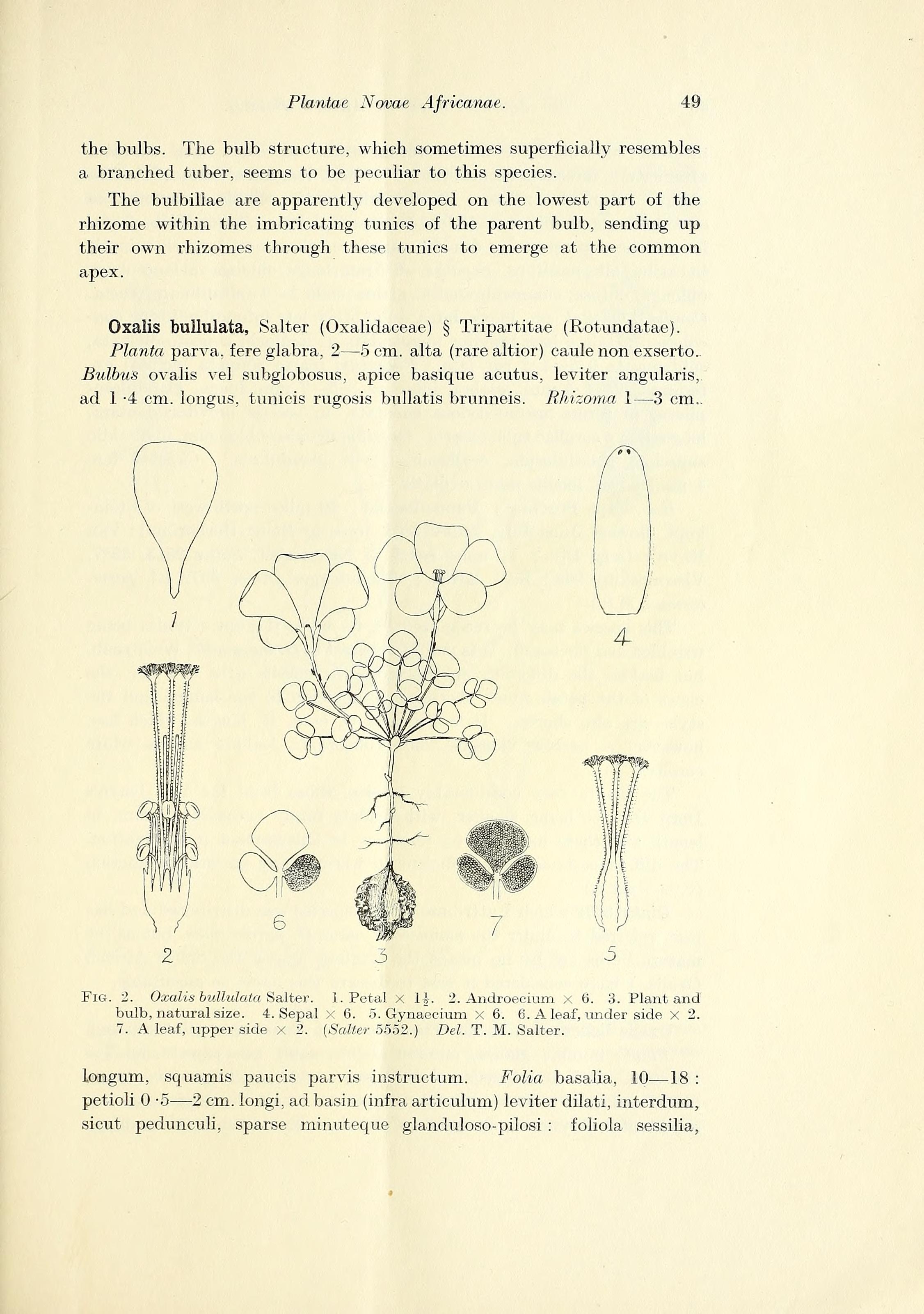 no full size  illustration available (3a)