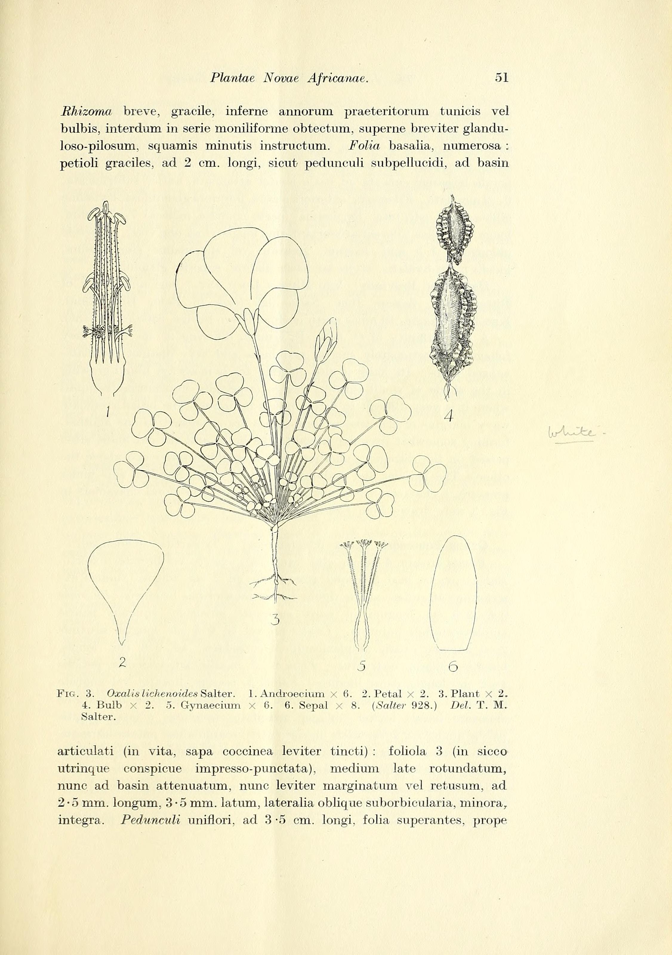 no full size  illustration available (3a)