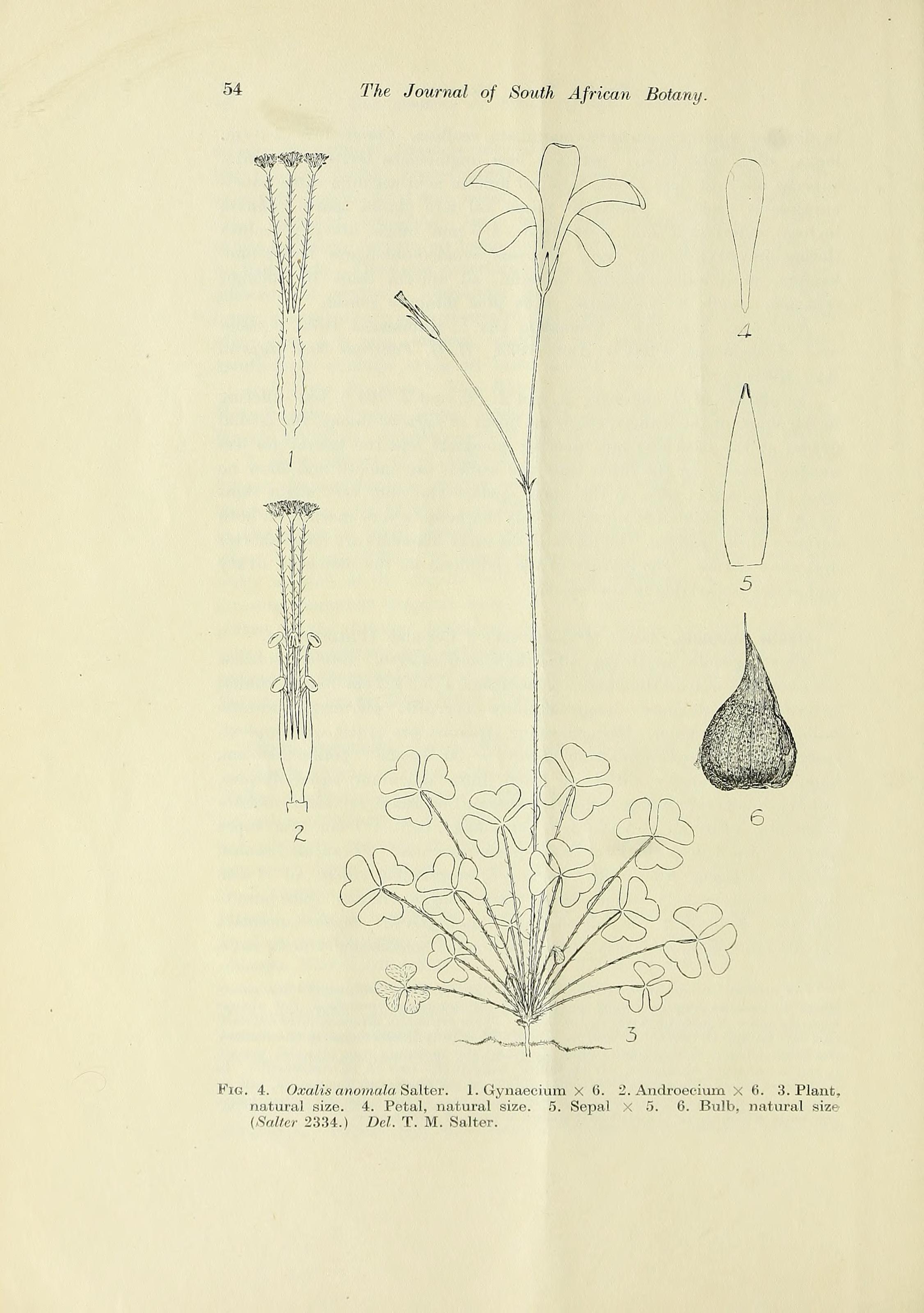 no full size  illustration available (3a)