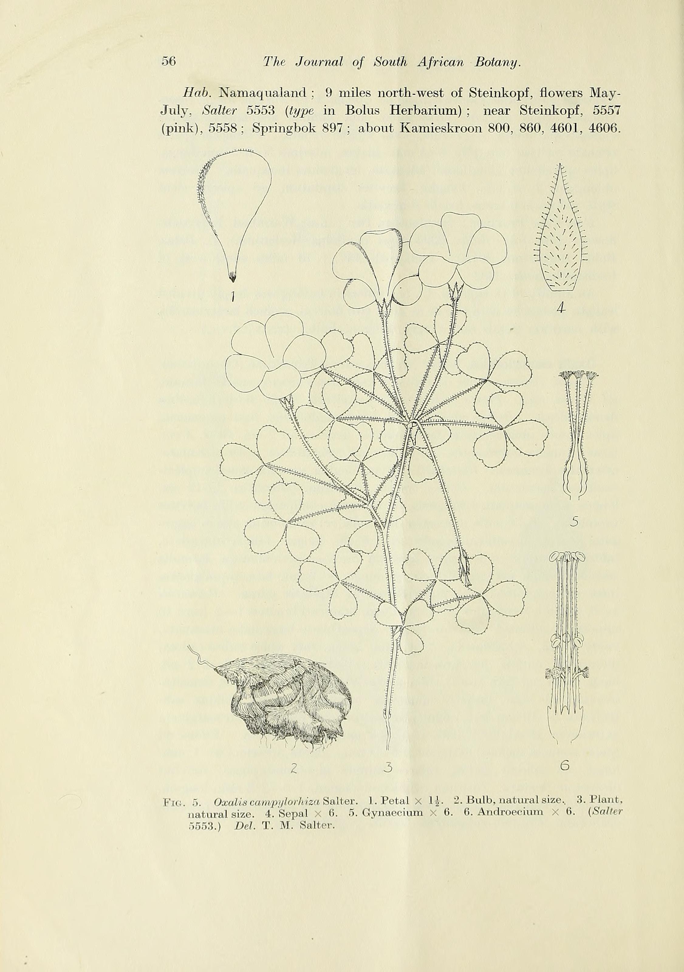 no full size  illustration available (3a)