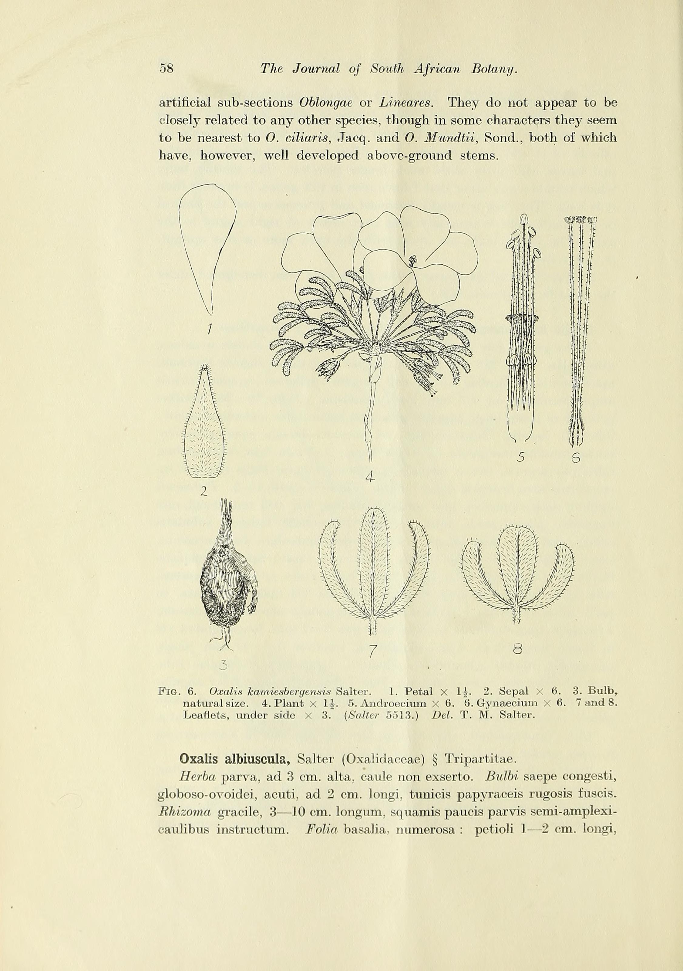 no full size  illustration available (3a)