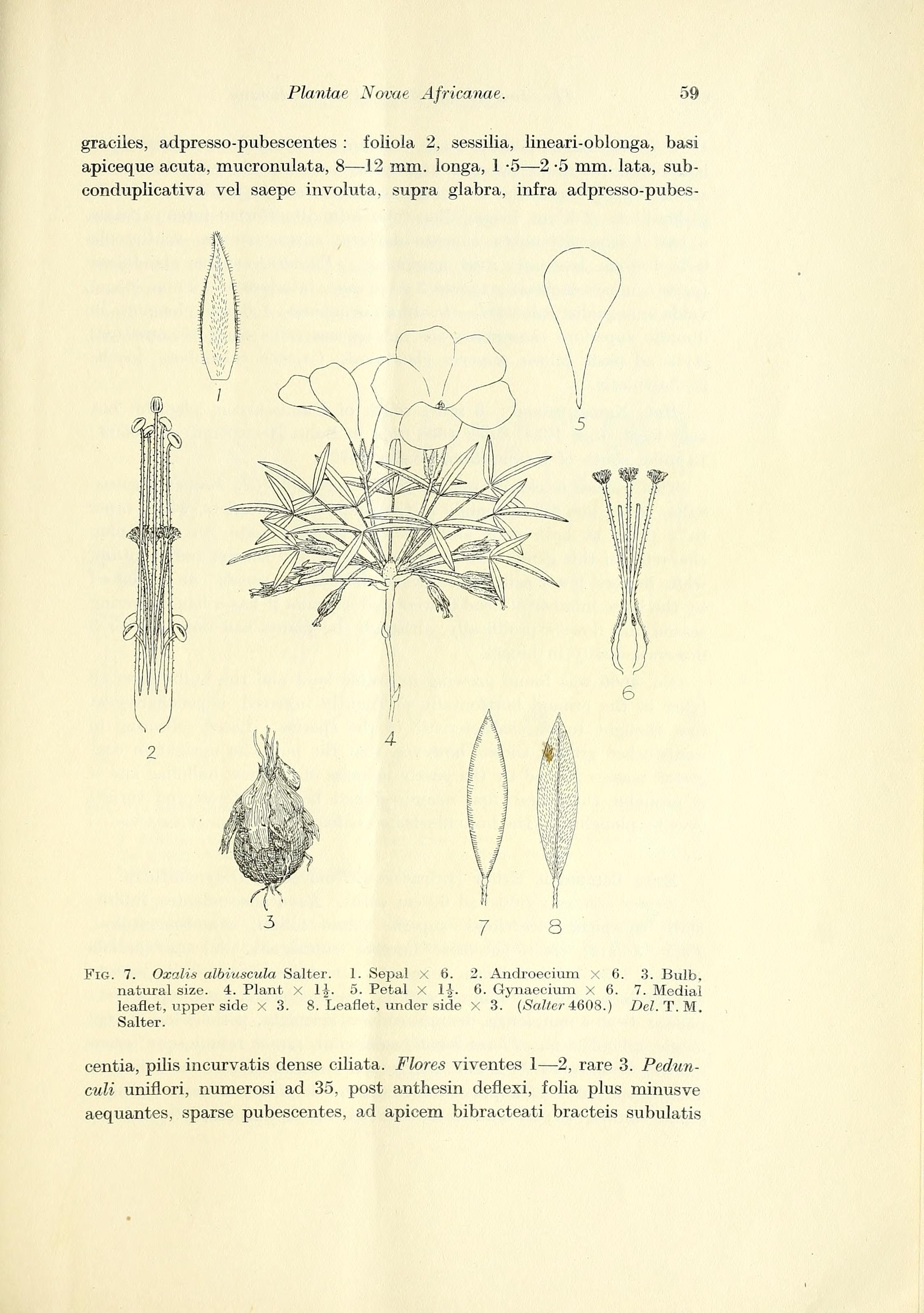 no full size  illustration available (3a)