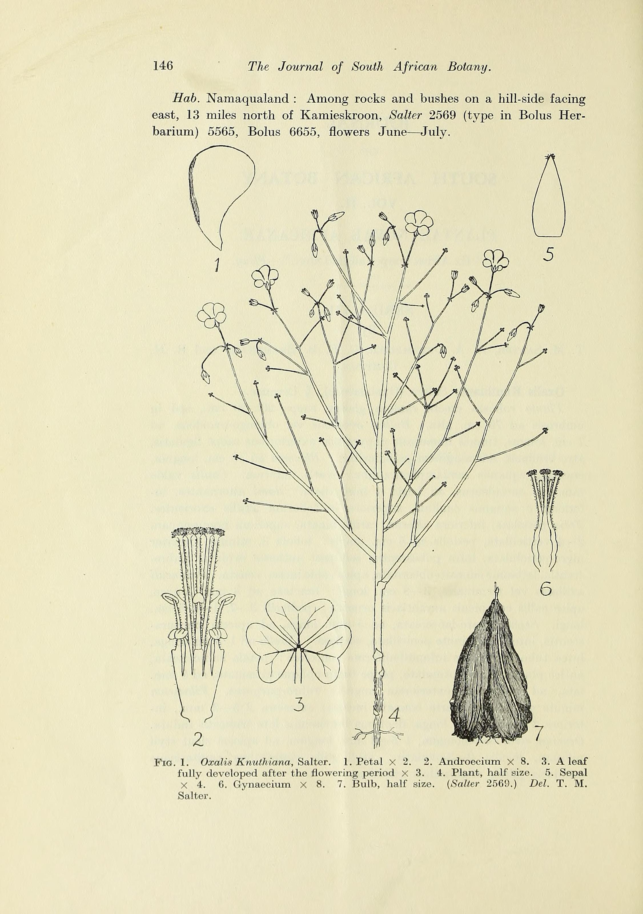 no full size  illustration available (3a)