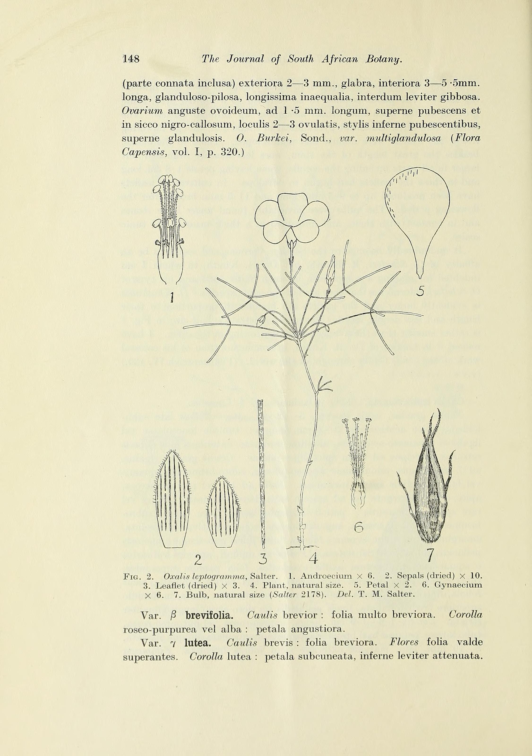 no full size  illustration available (3a)