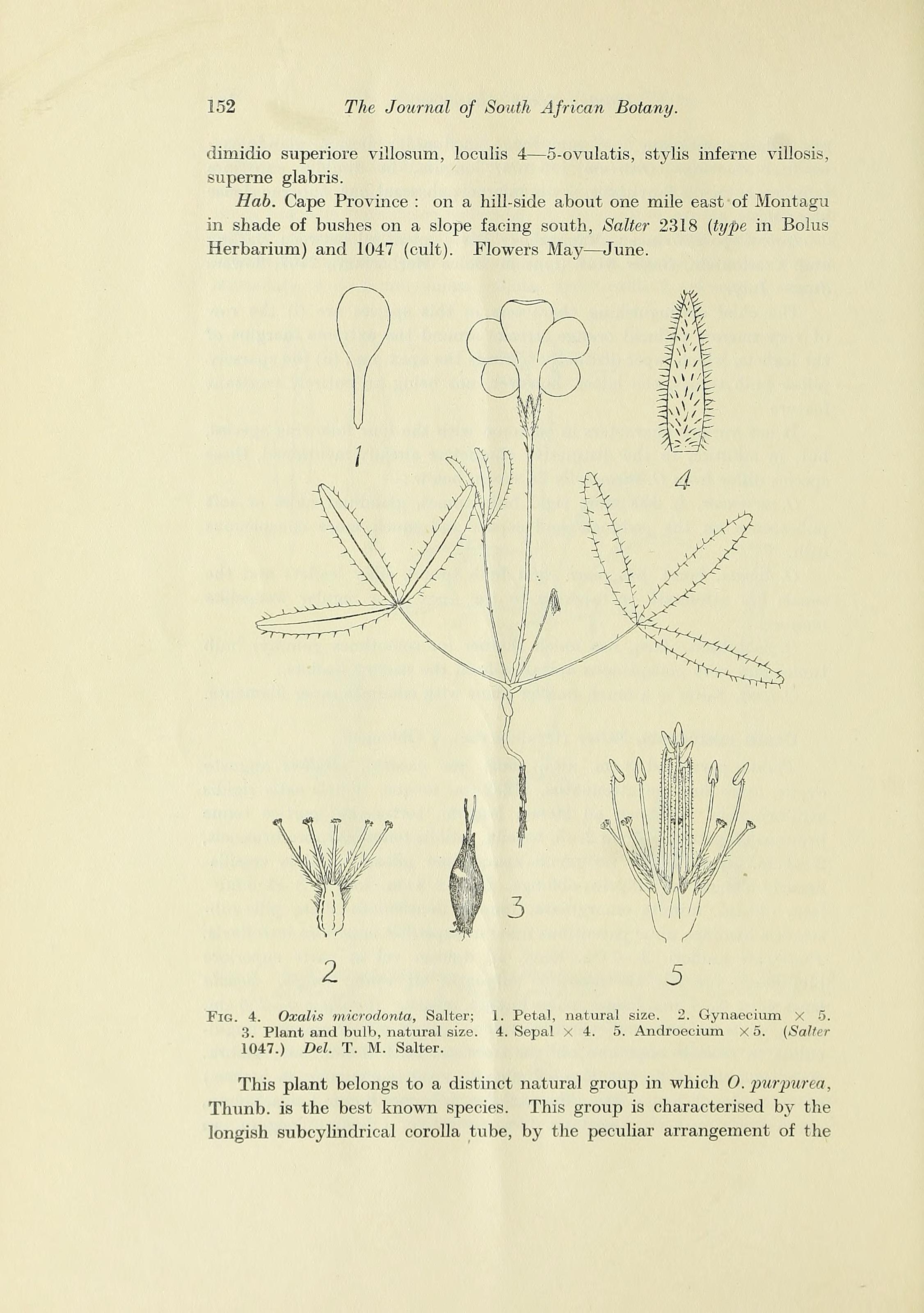 no full size  illustration available (3a)