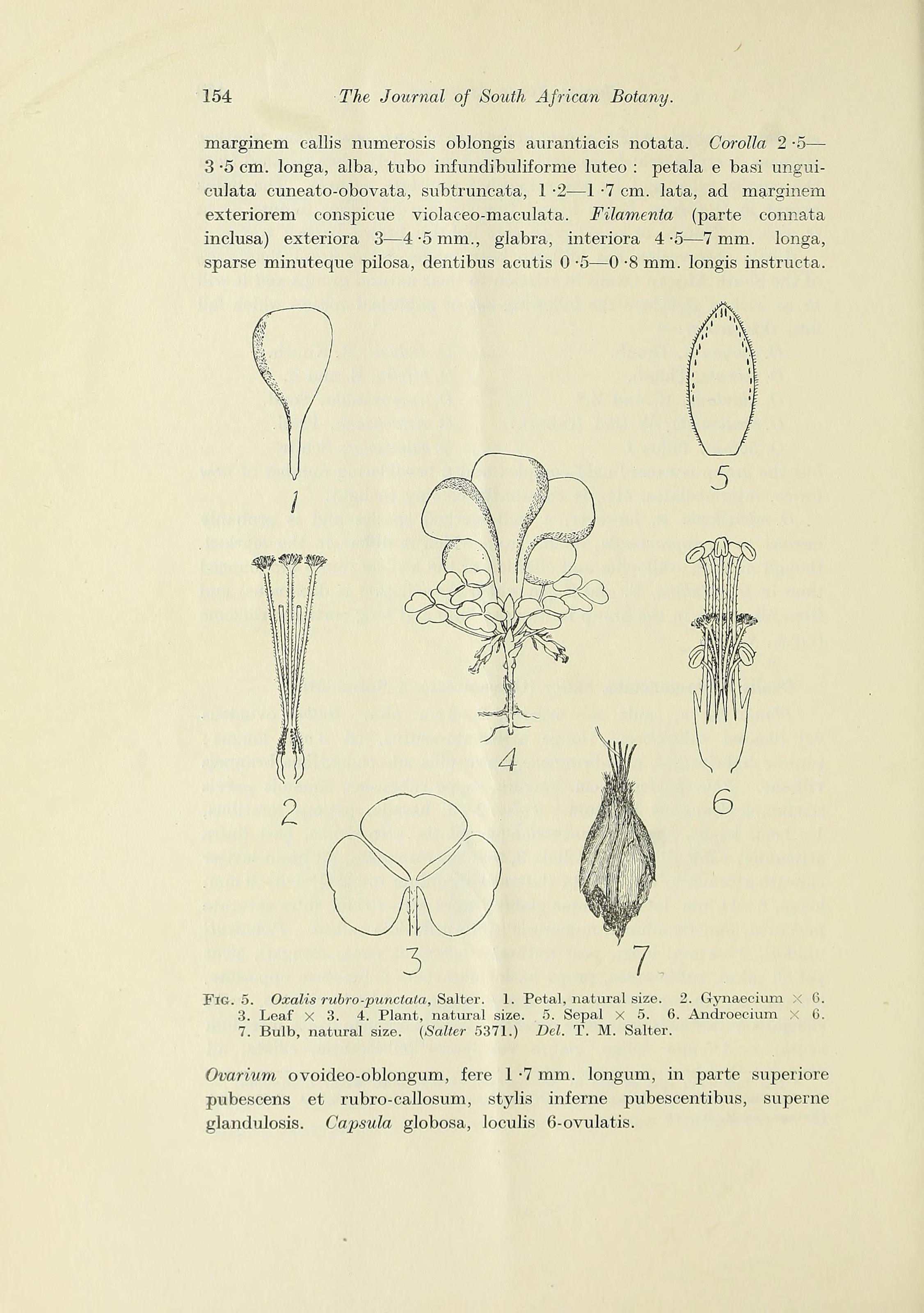 no full size  illustration available (3a)