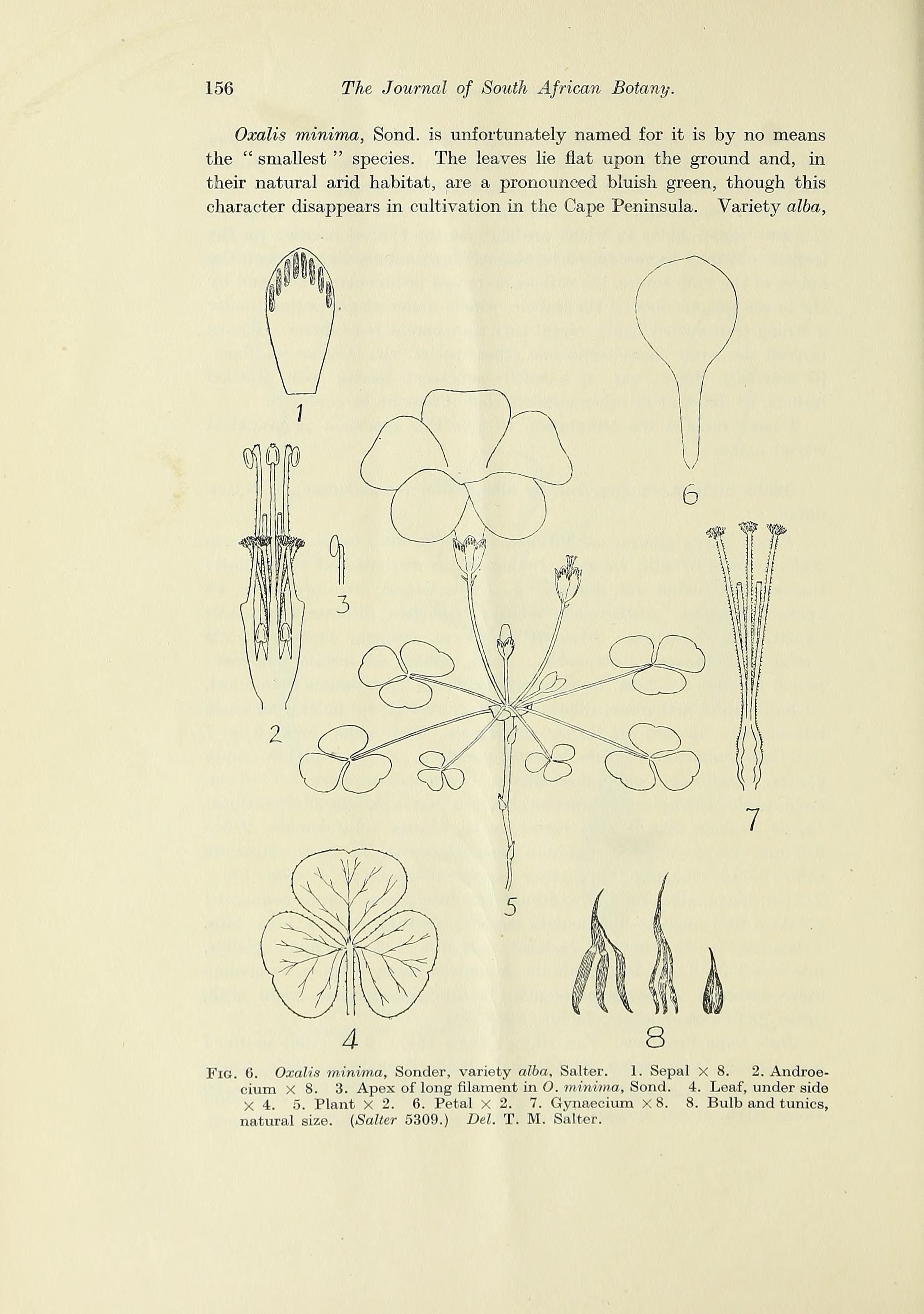 no full size  illustration available (3a)