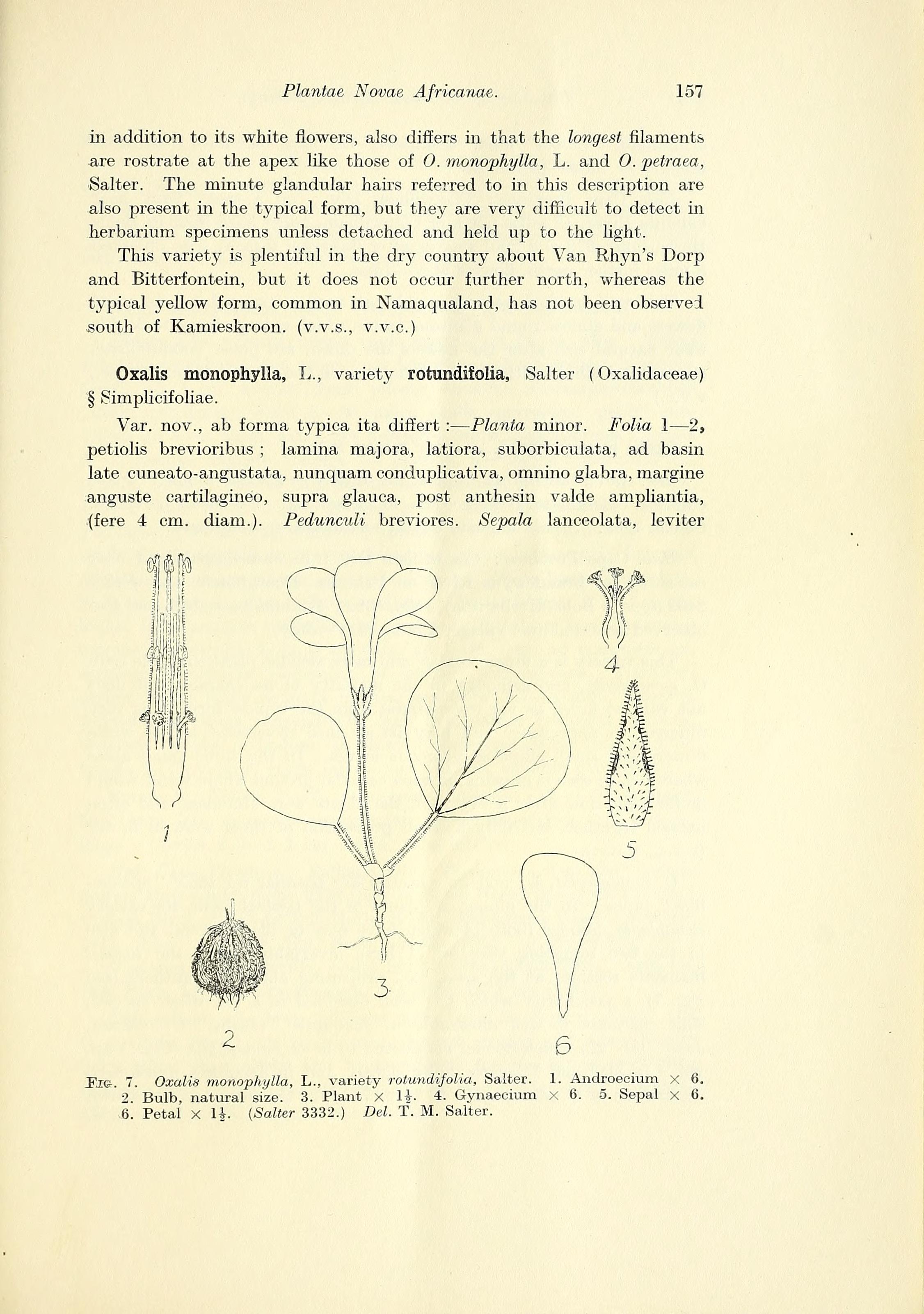 no full size  illustration available (3a)