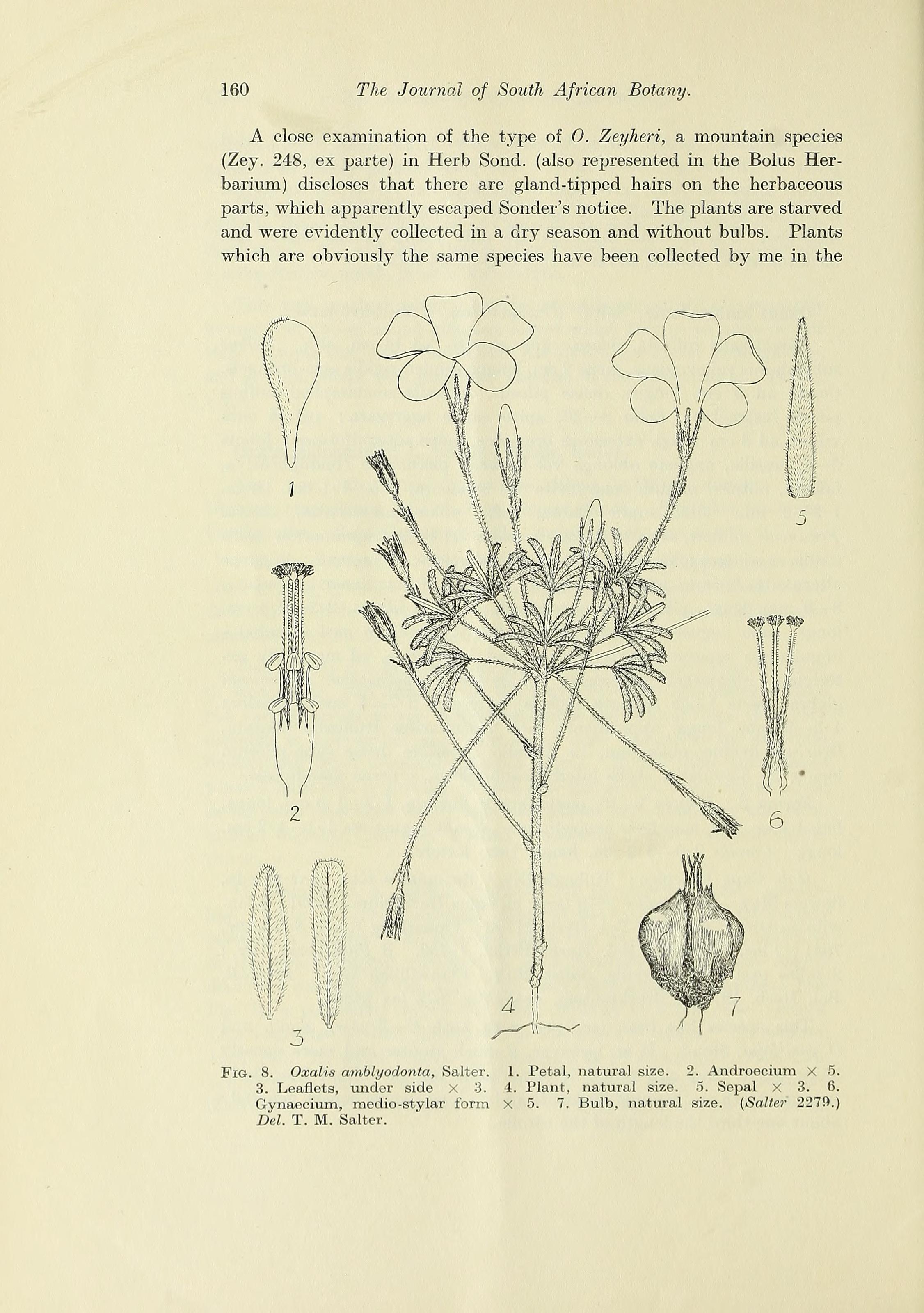 no full size  illustration available (3a)