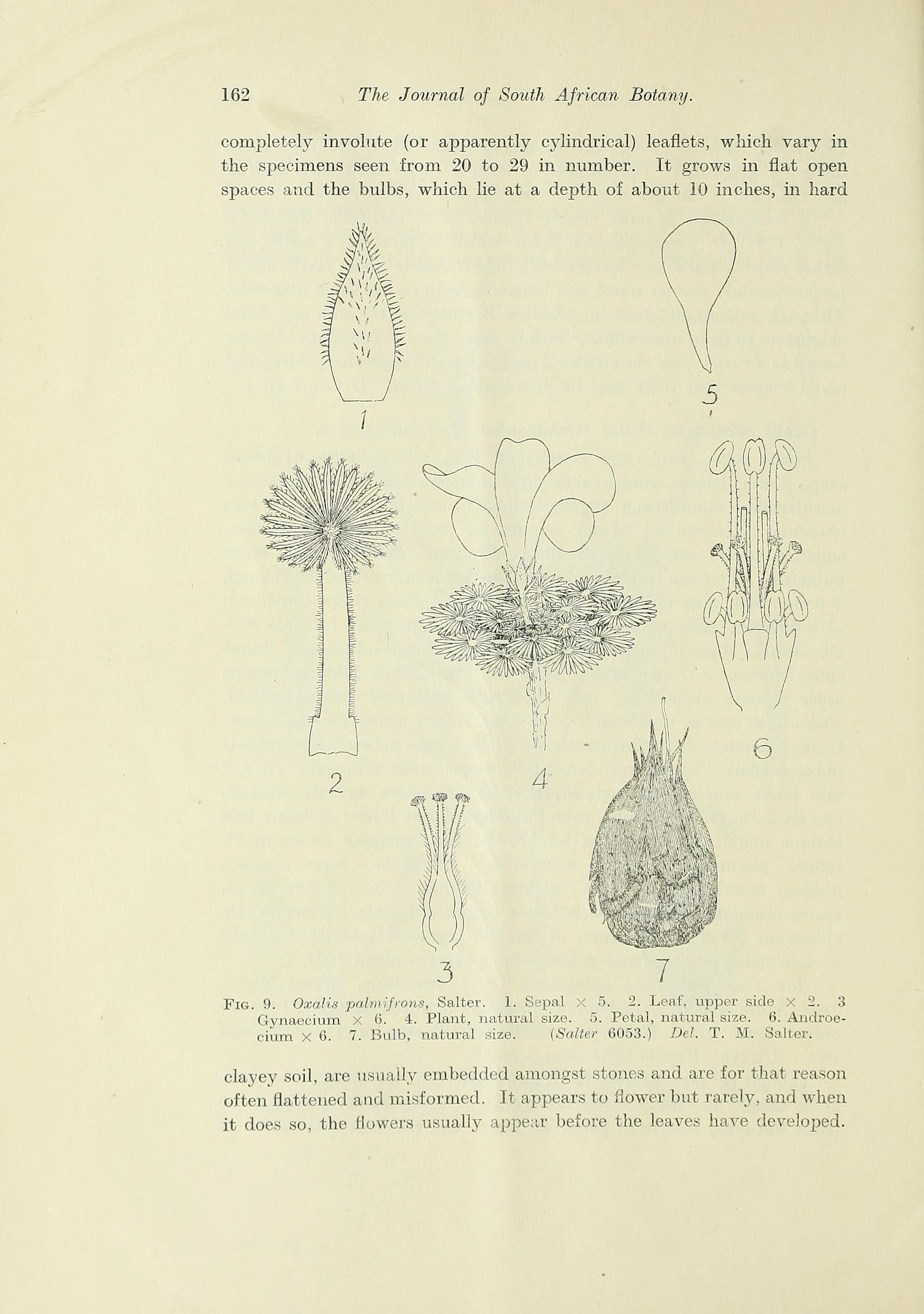 no full size  illustration available (3a)