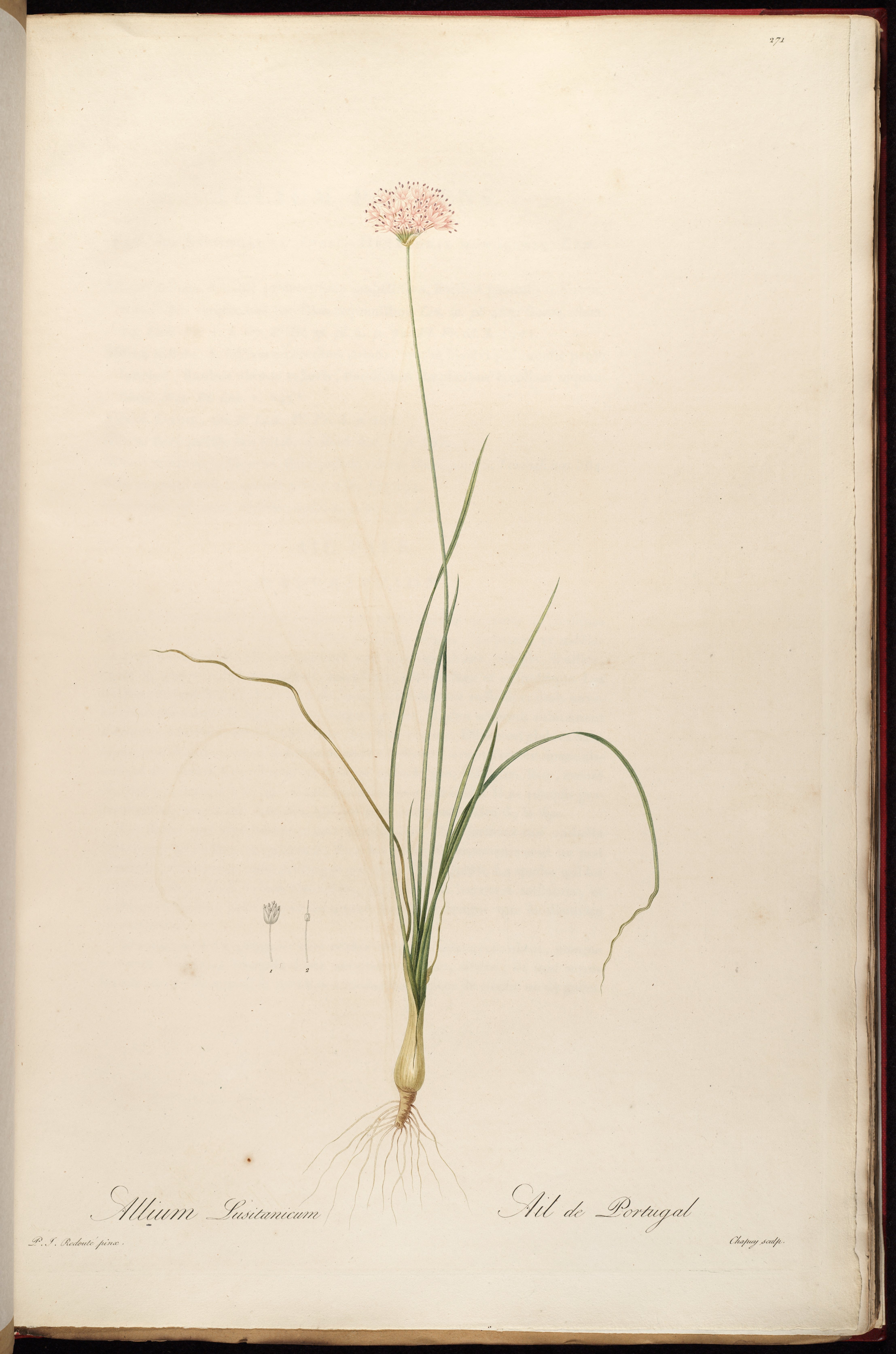 no full size  illustration available (3a)