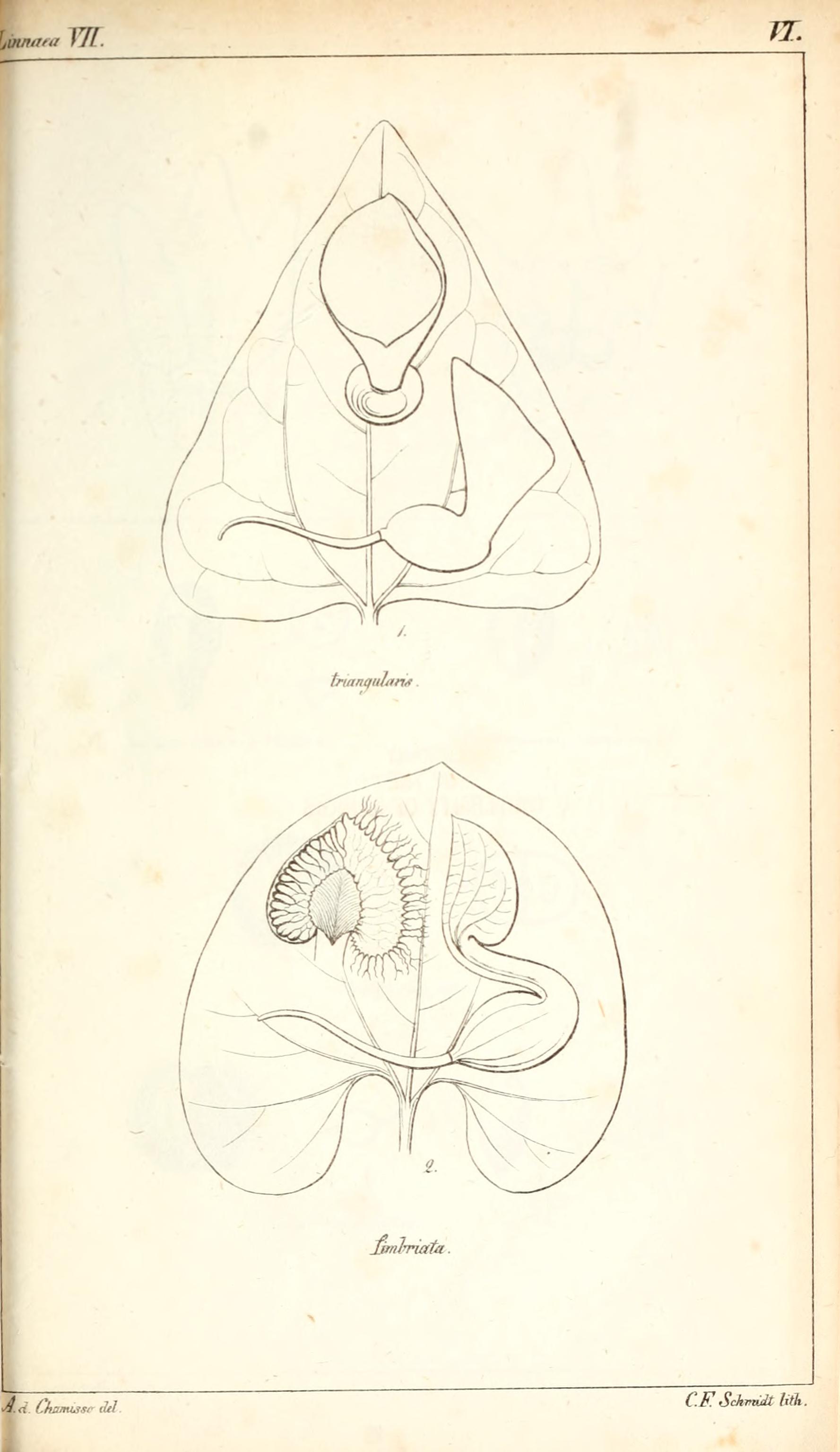 no full size  illustration available (3a)