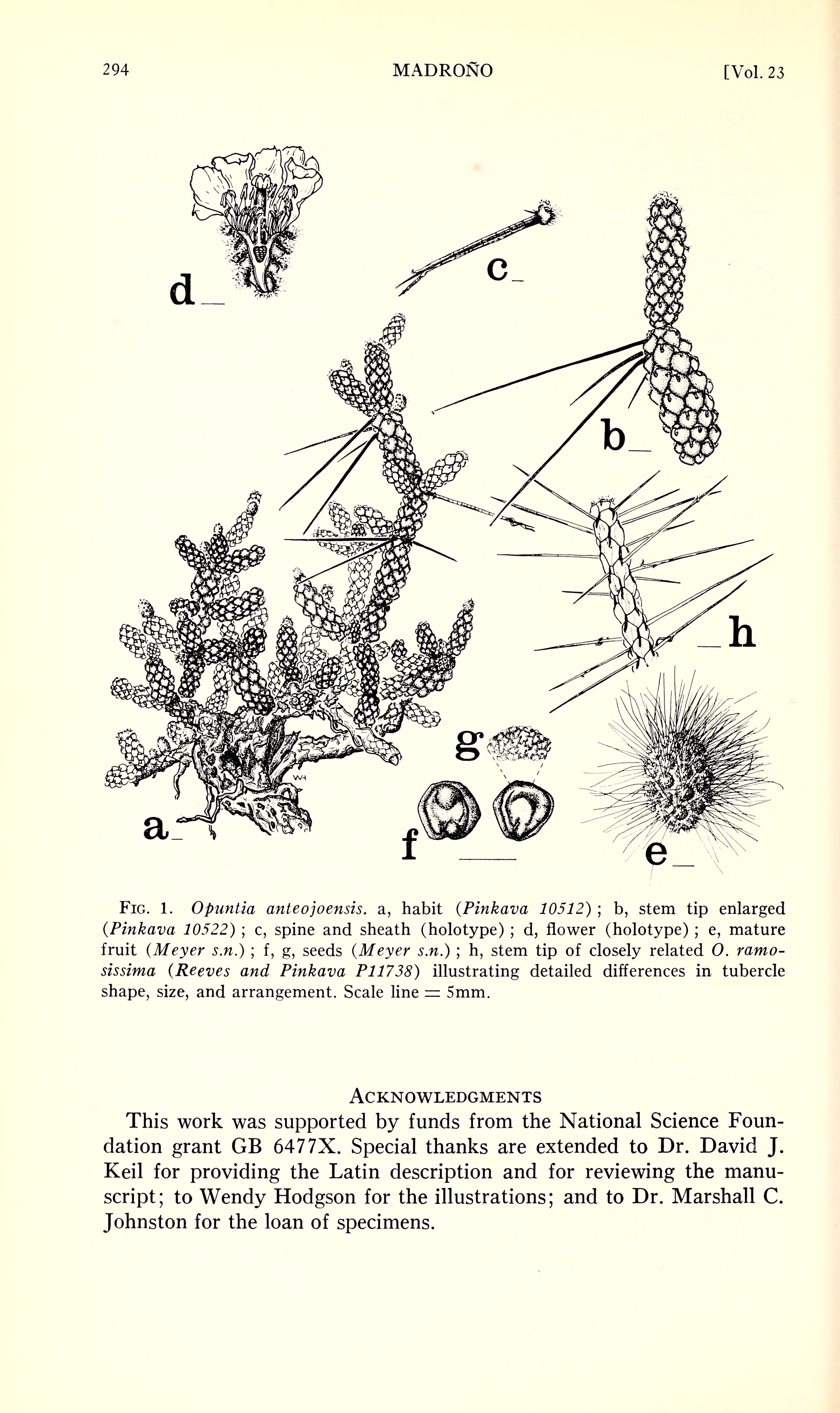 no full size  illustration available (3a)