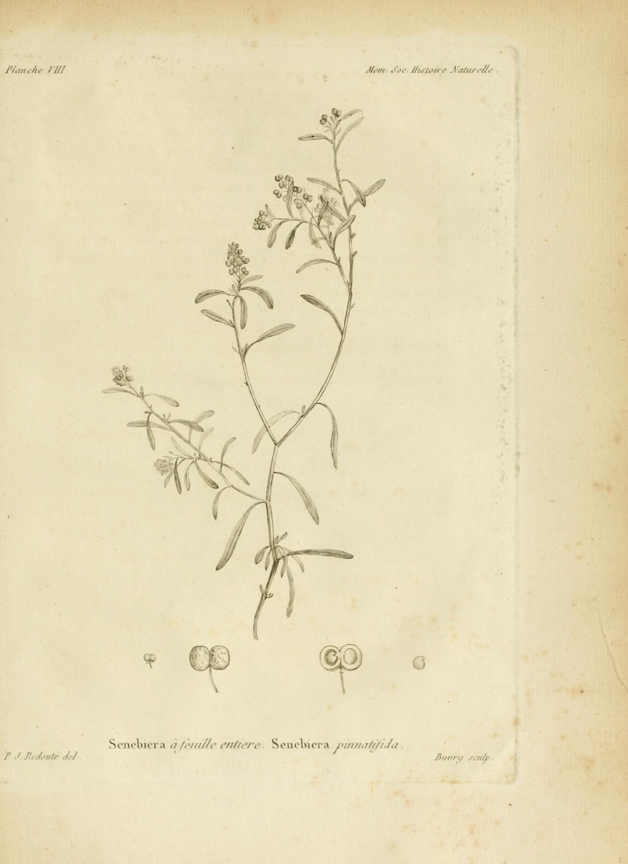 no full size  illustration available (3a)