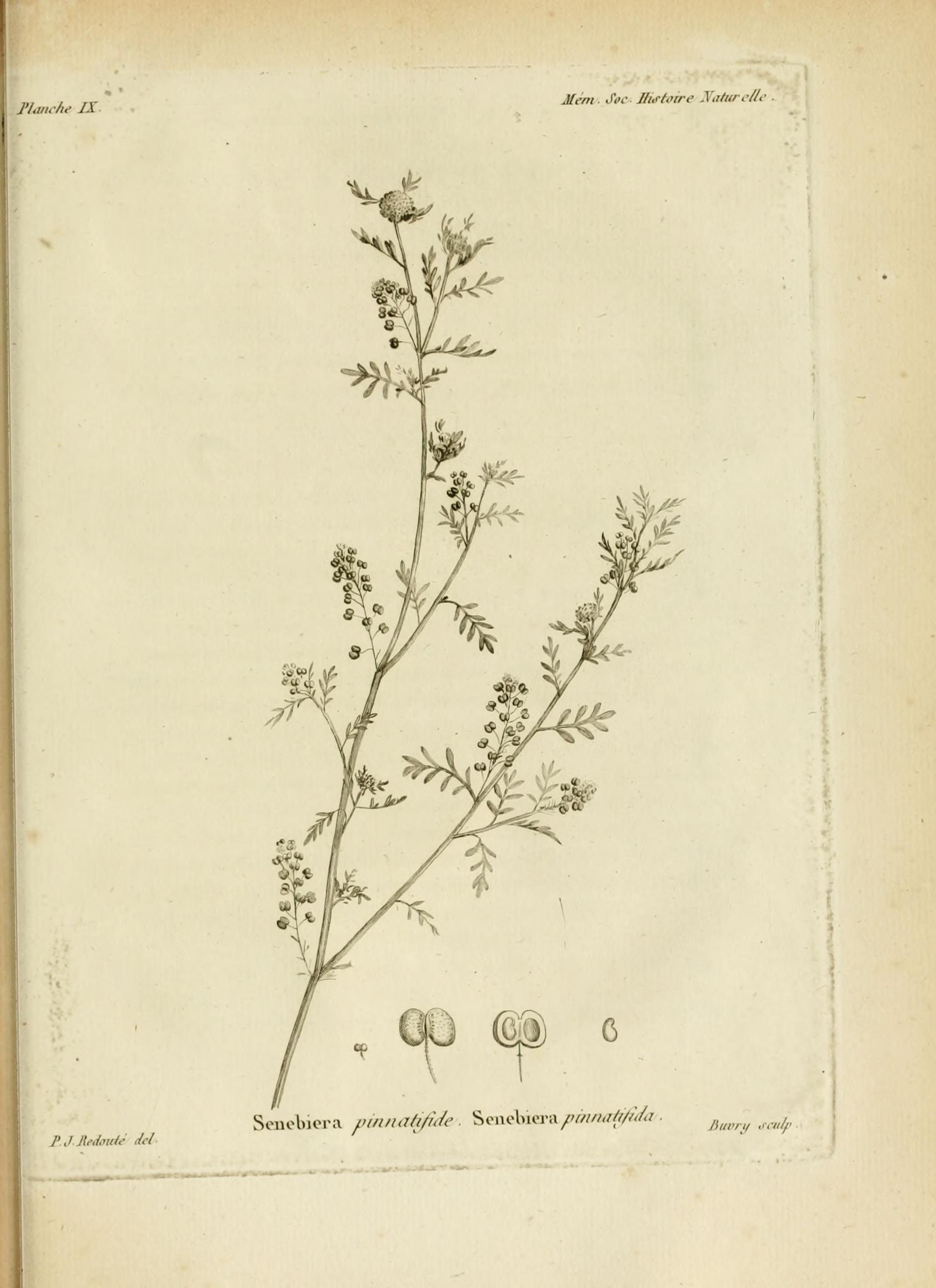 no full size  illustration available (3a)