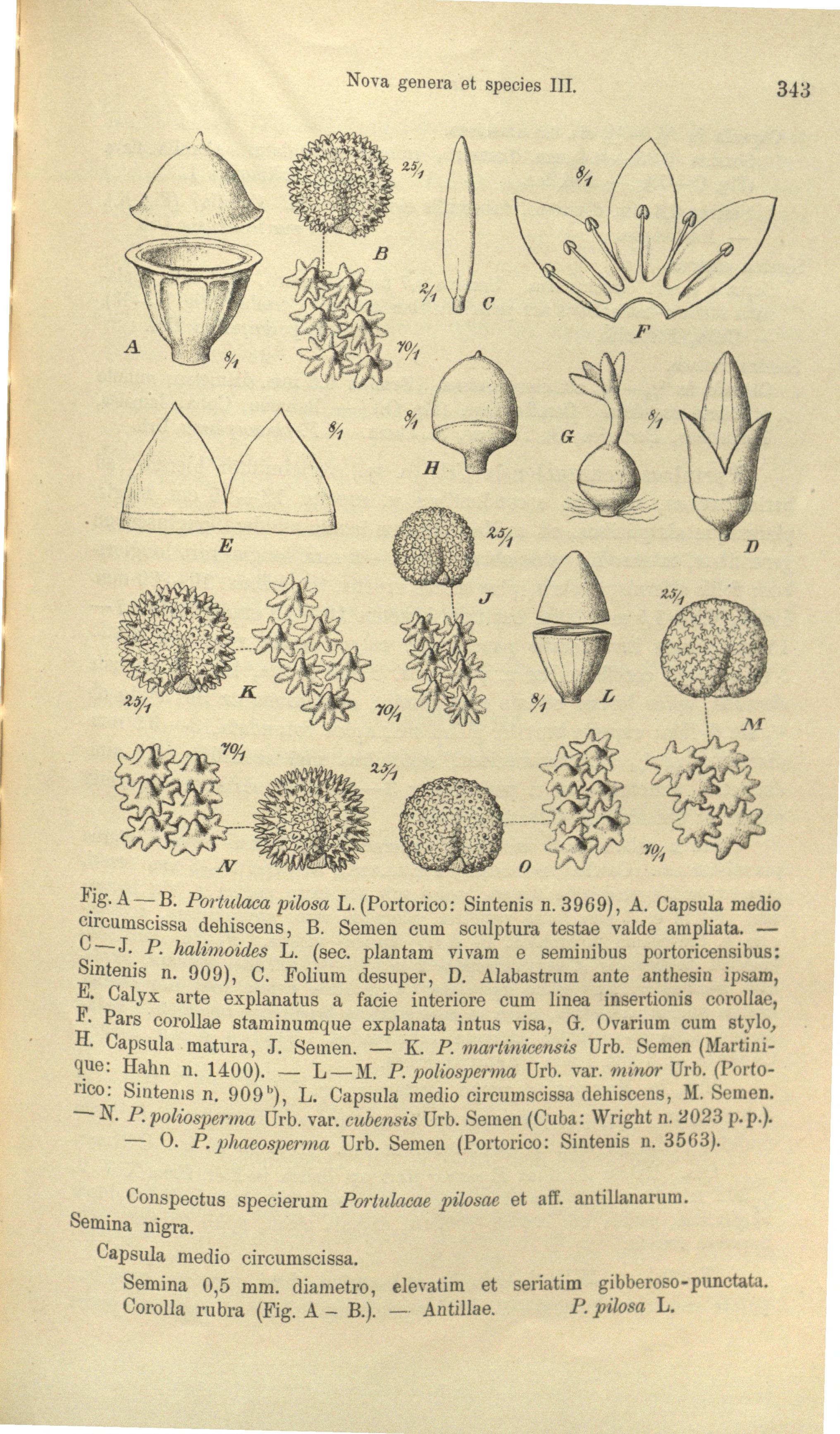 no full size  illustration available (3a)