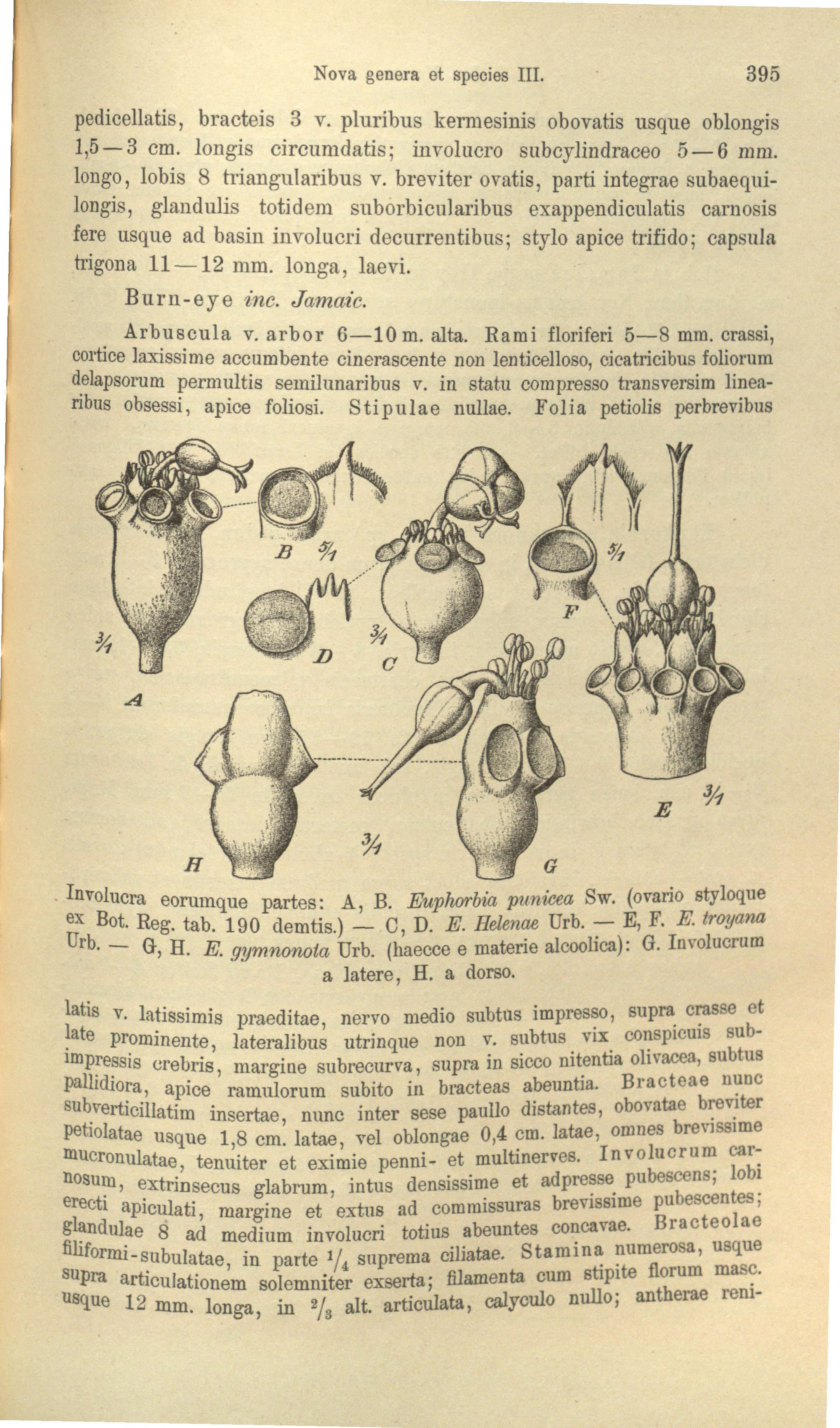 no full size  illustration available (3a)