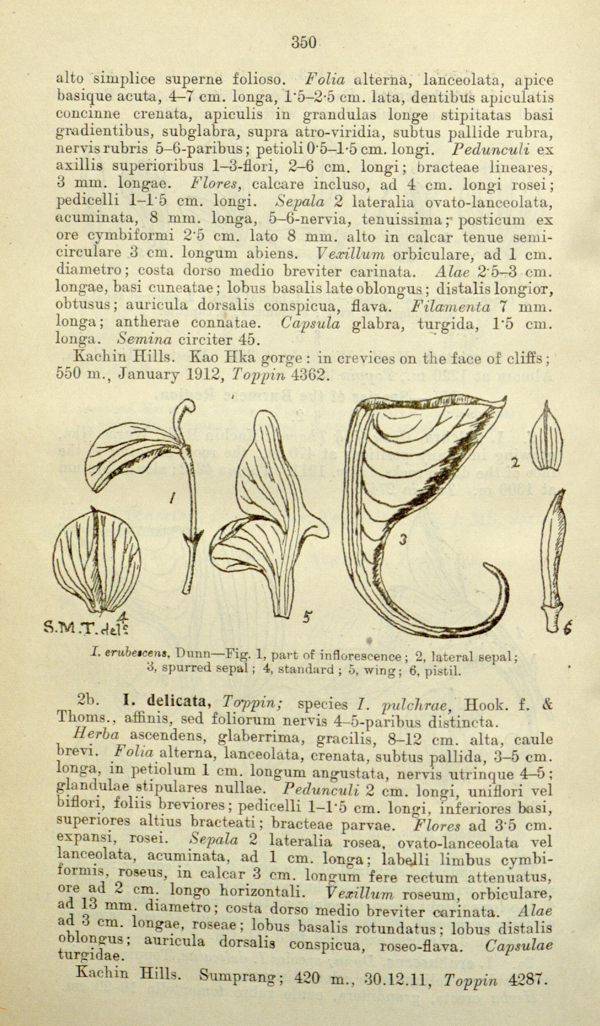 no full size  illustration available (3a)