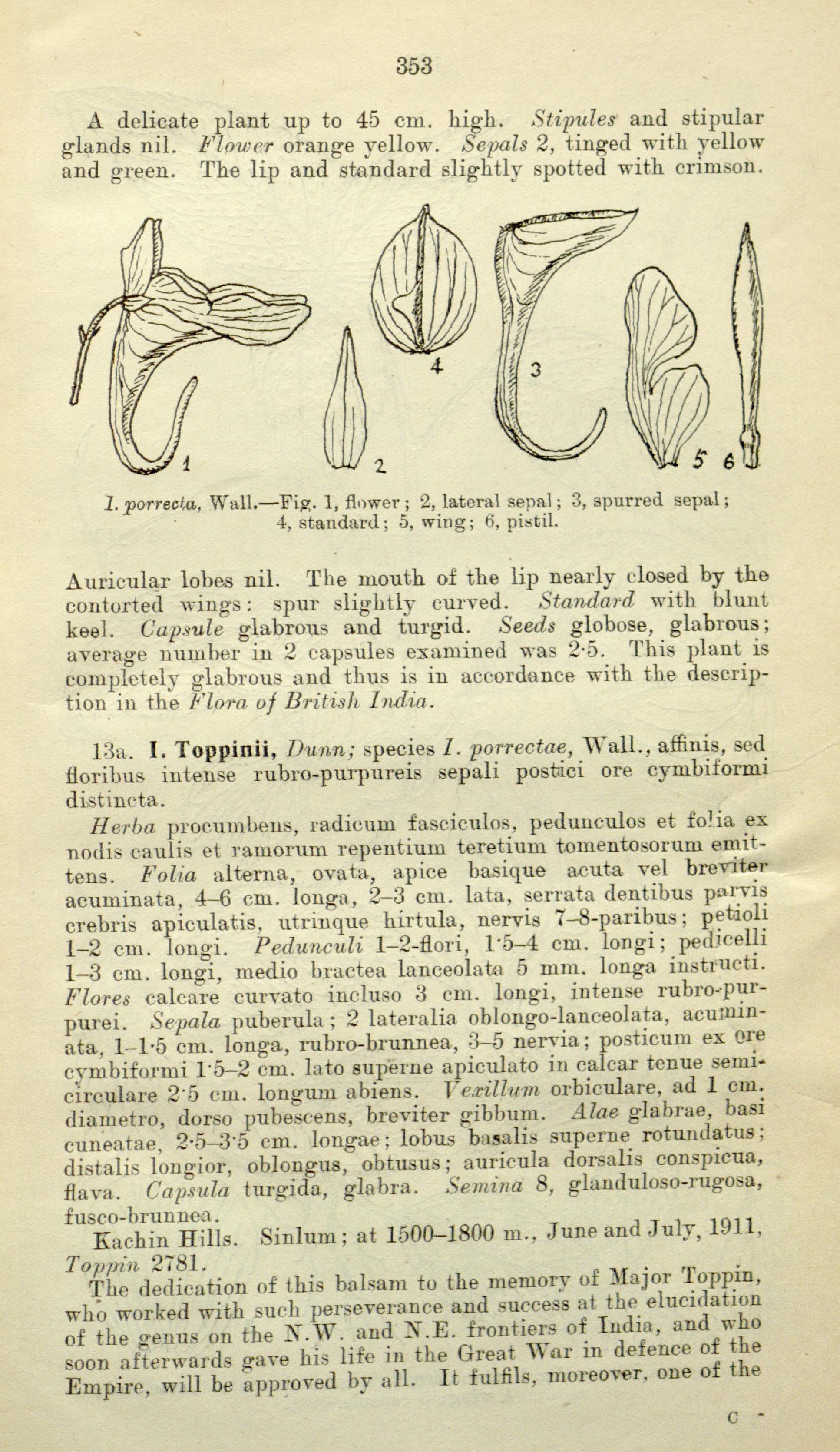 no full size  illustration available (3a)