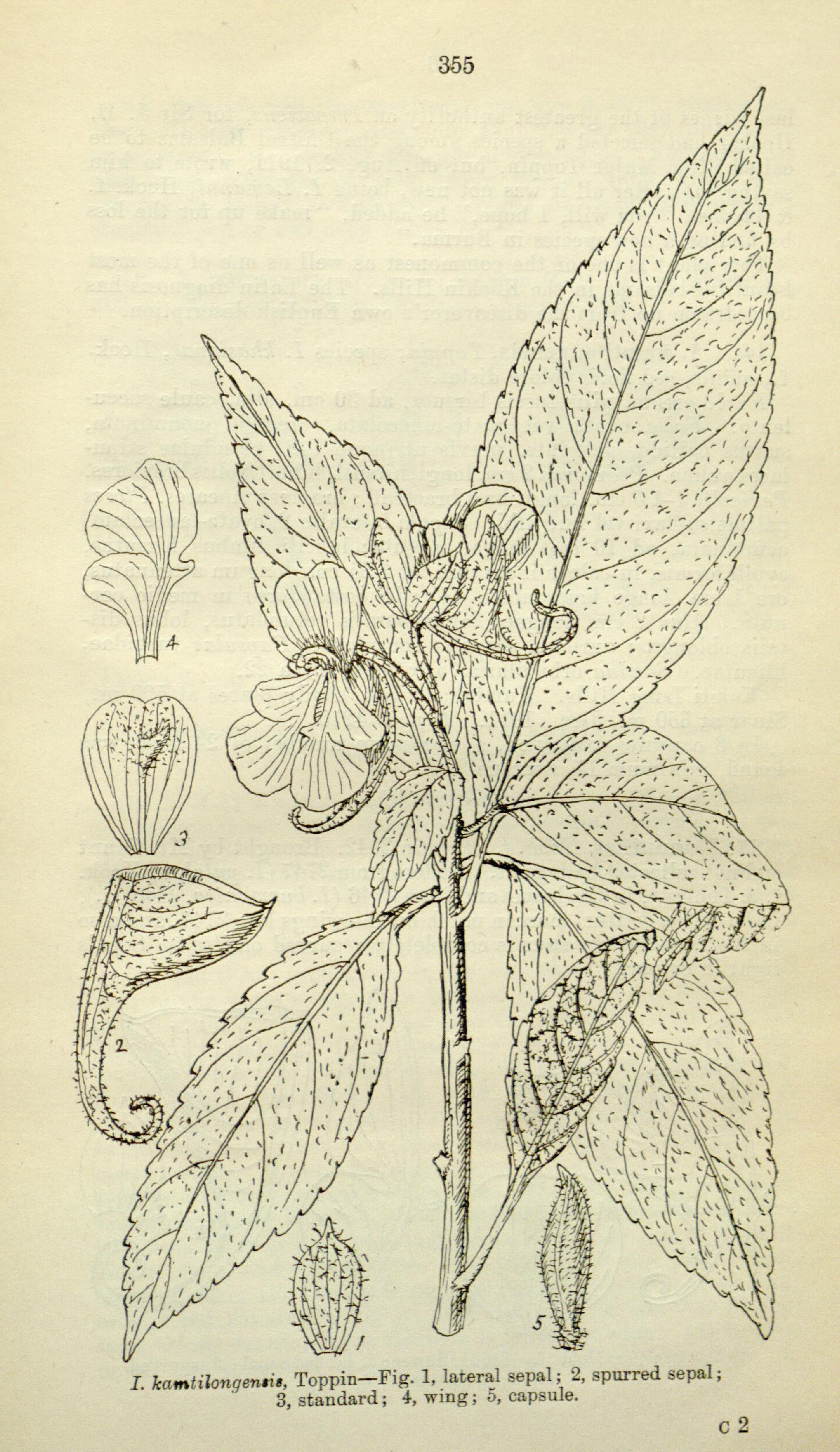 no full size  illustration available (3a)