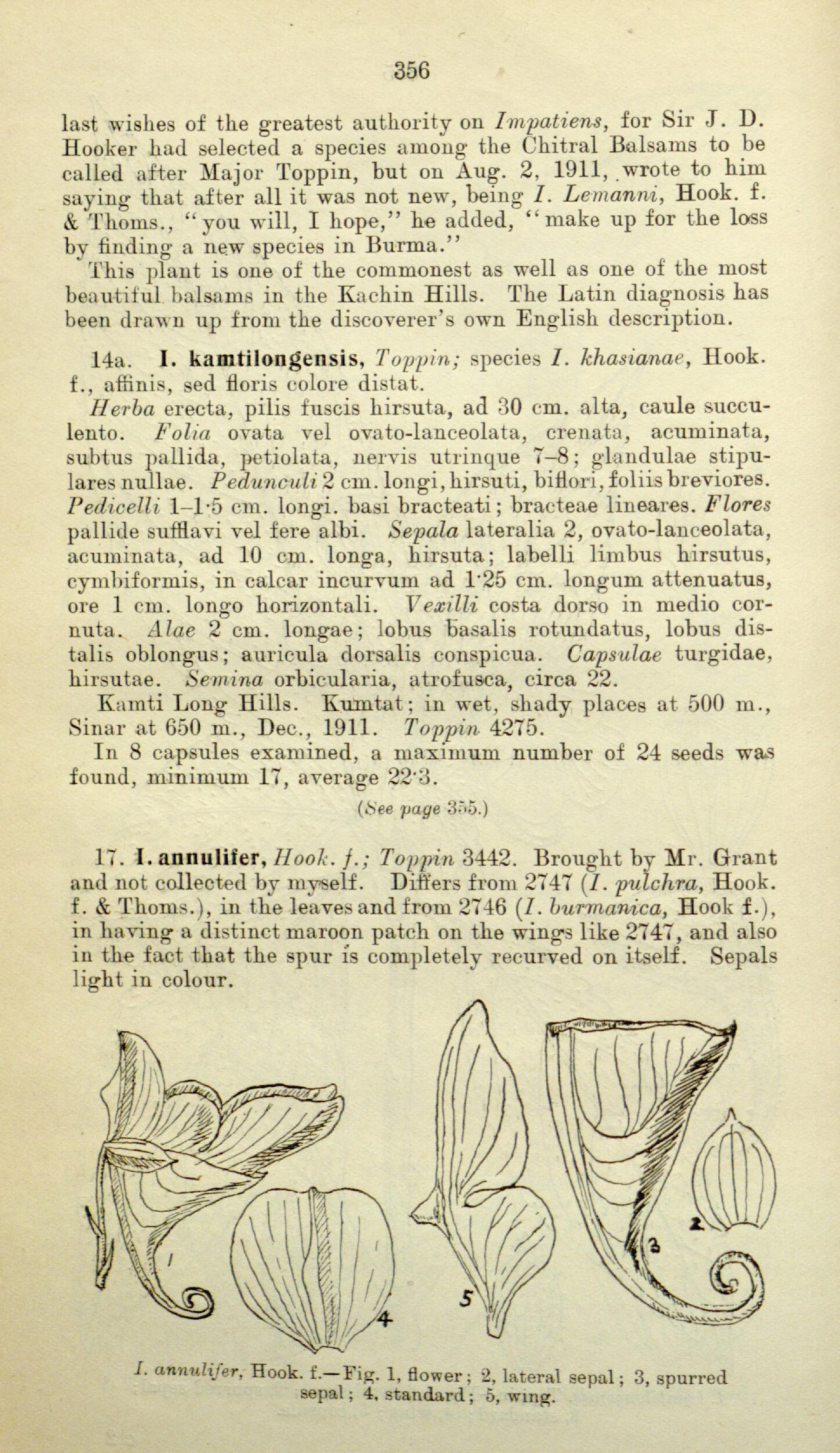 no full size  illustration available (3a)