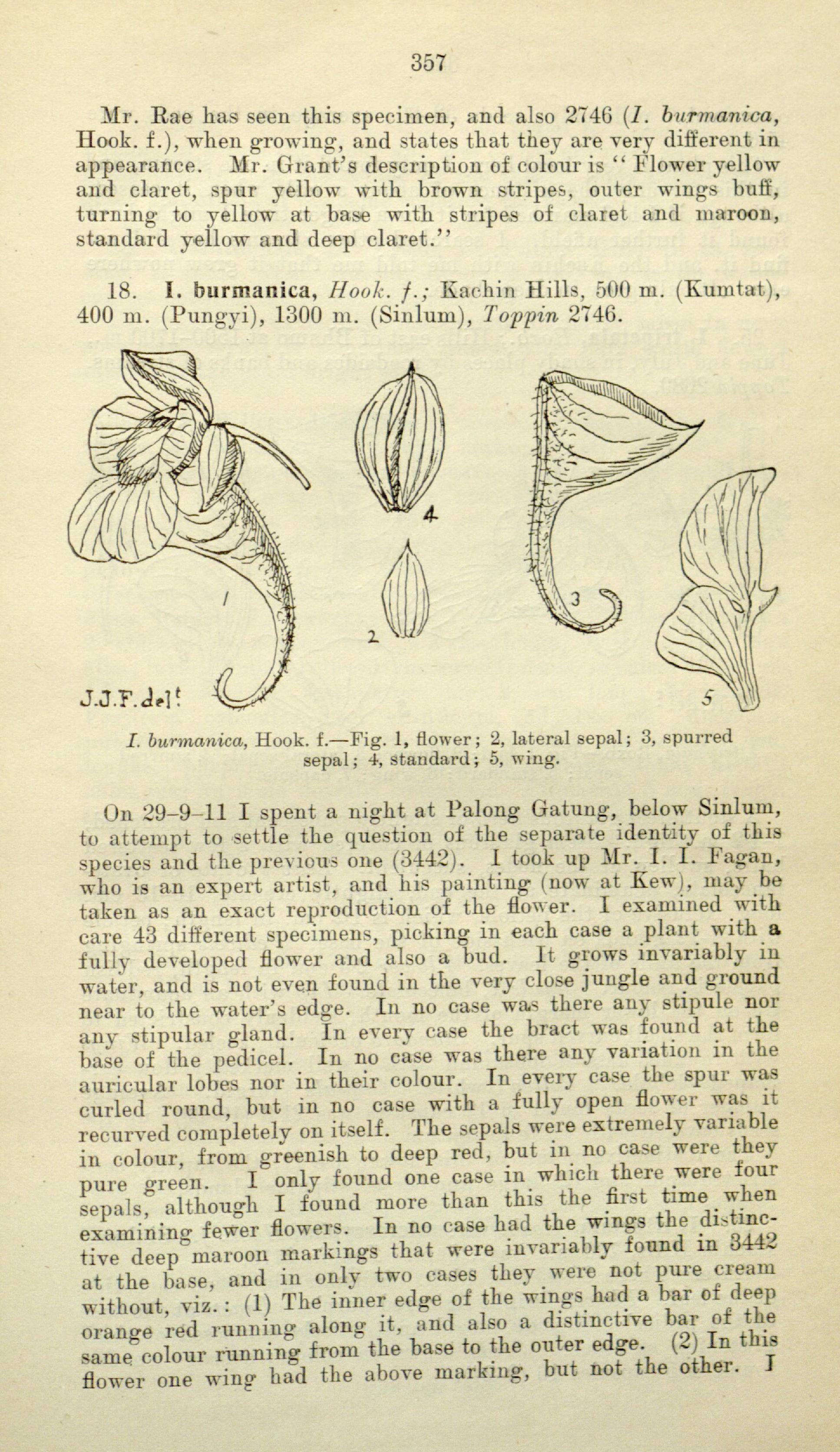 no full size  illustration available (3a)