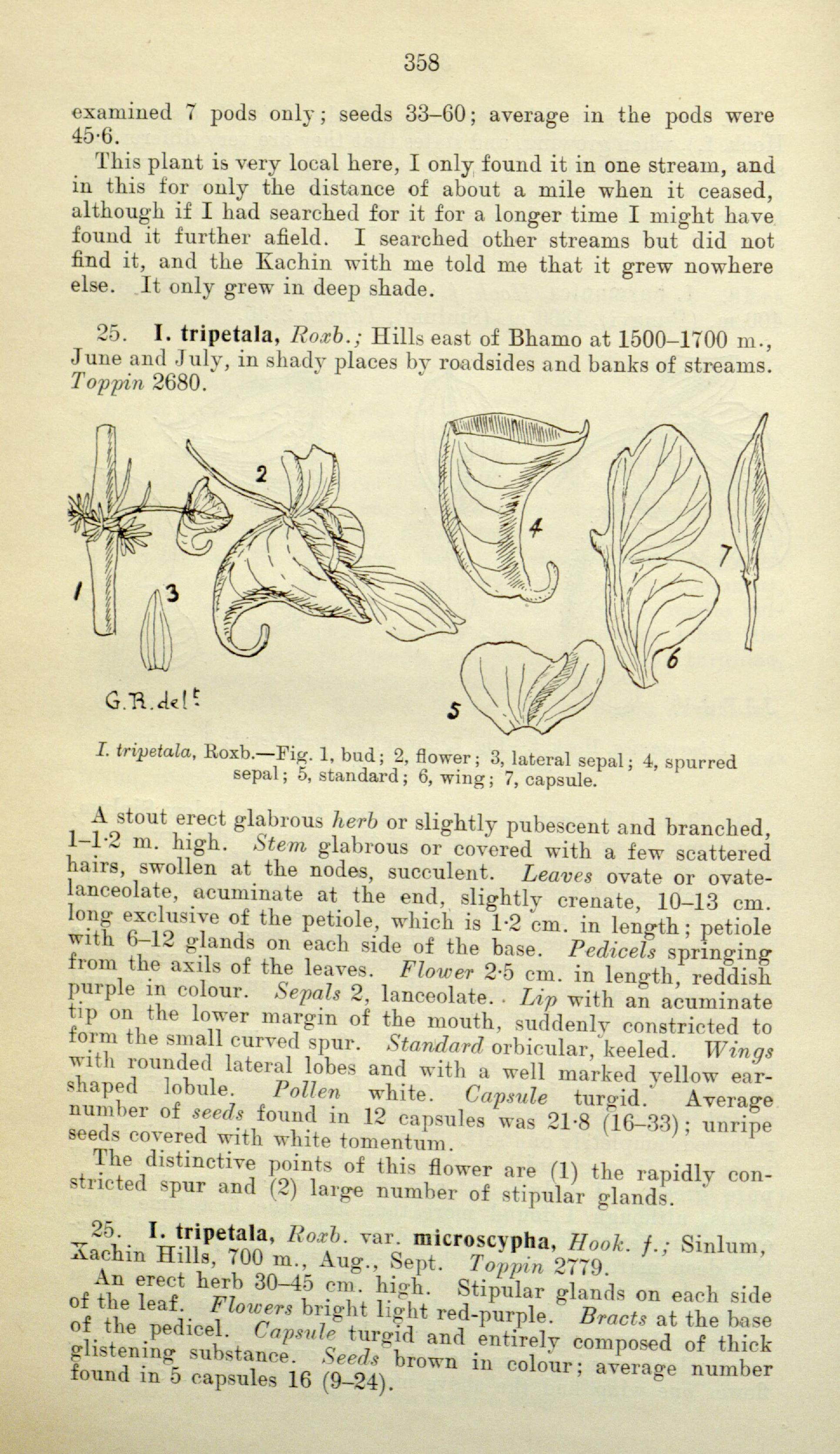 no full size  illustration available (3a)