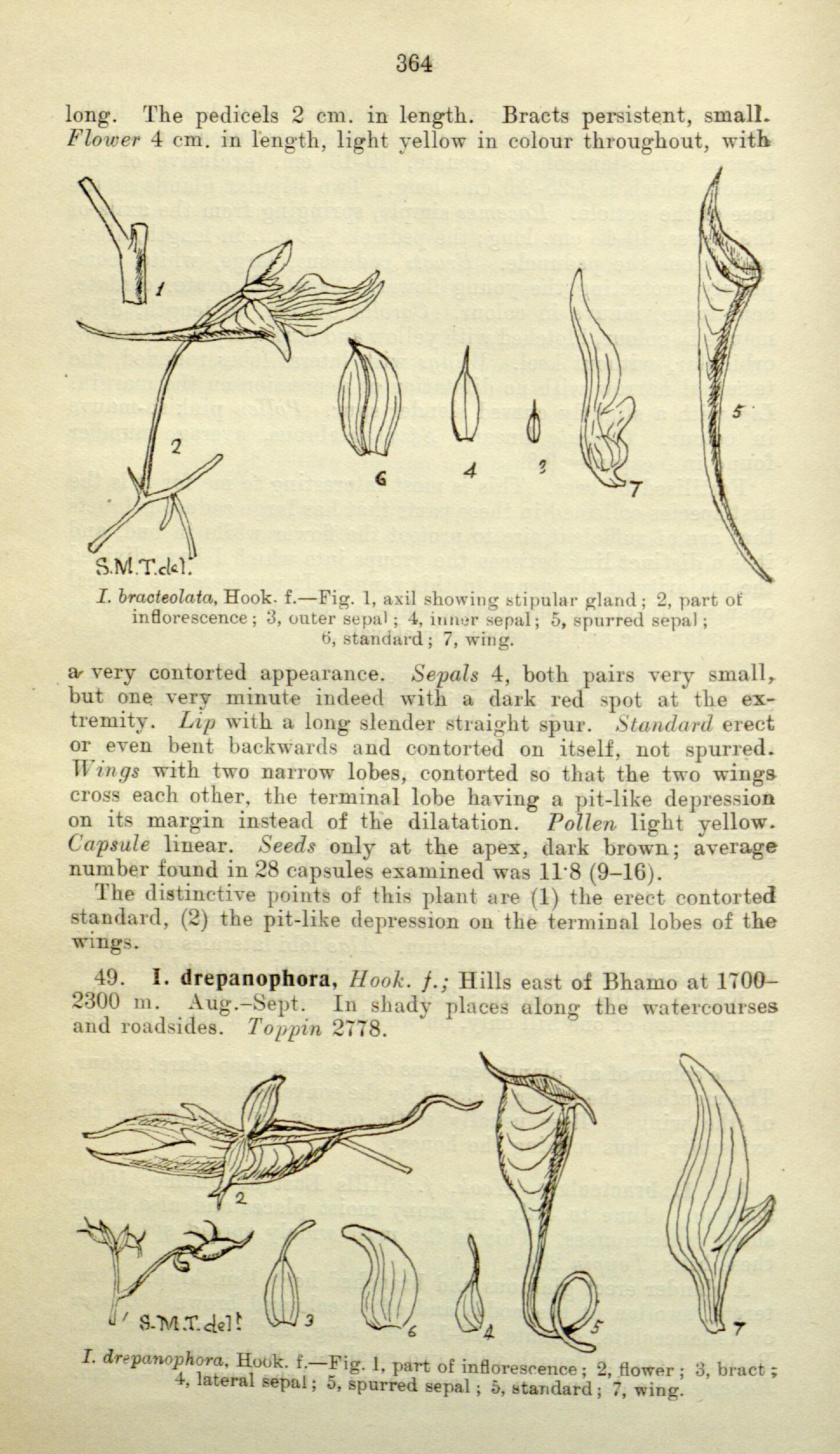 no full size  illustration available (3a)