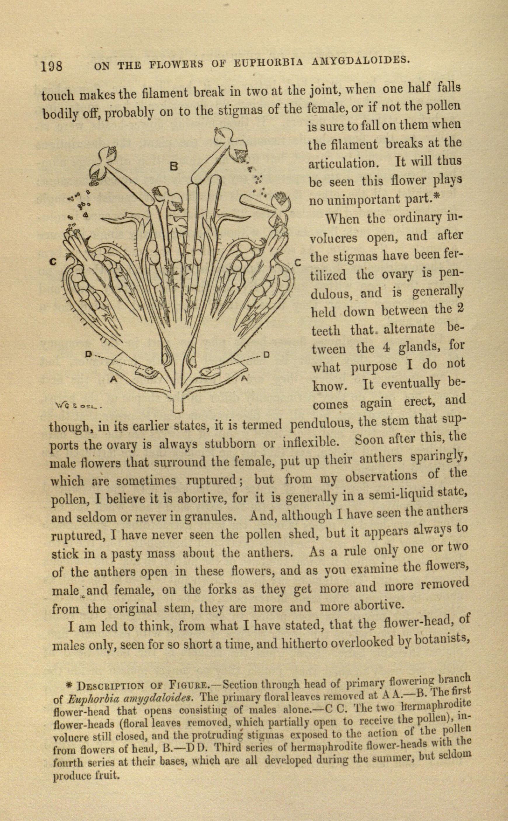 no full size  illustration available (3a)