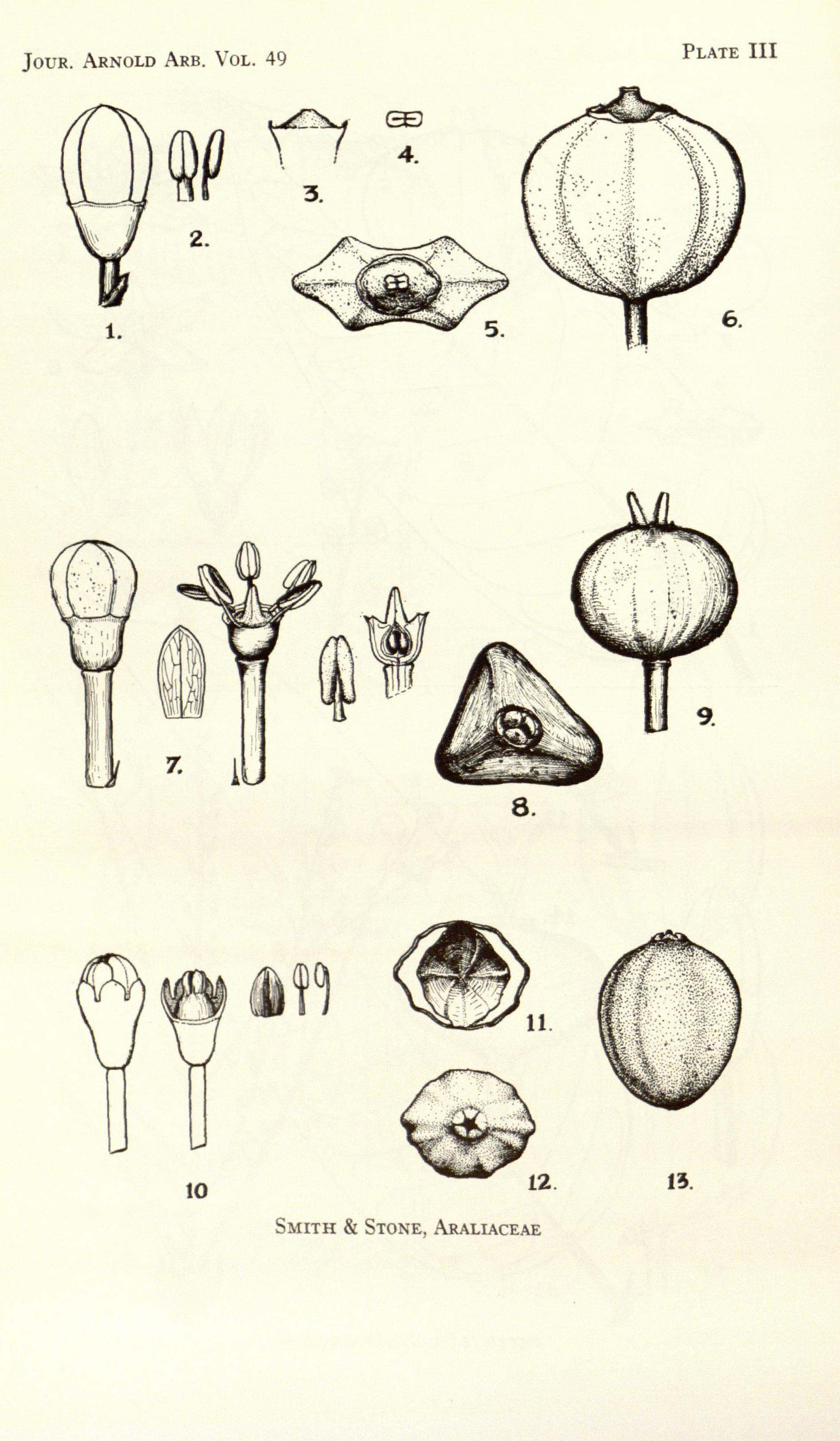 no full size  illustration available (3a)