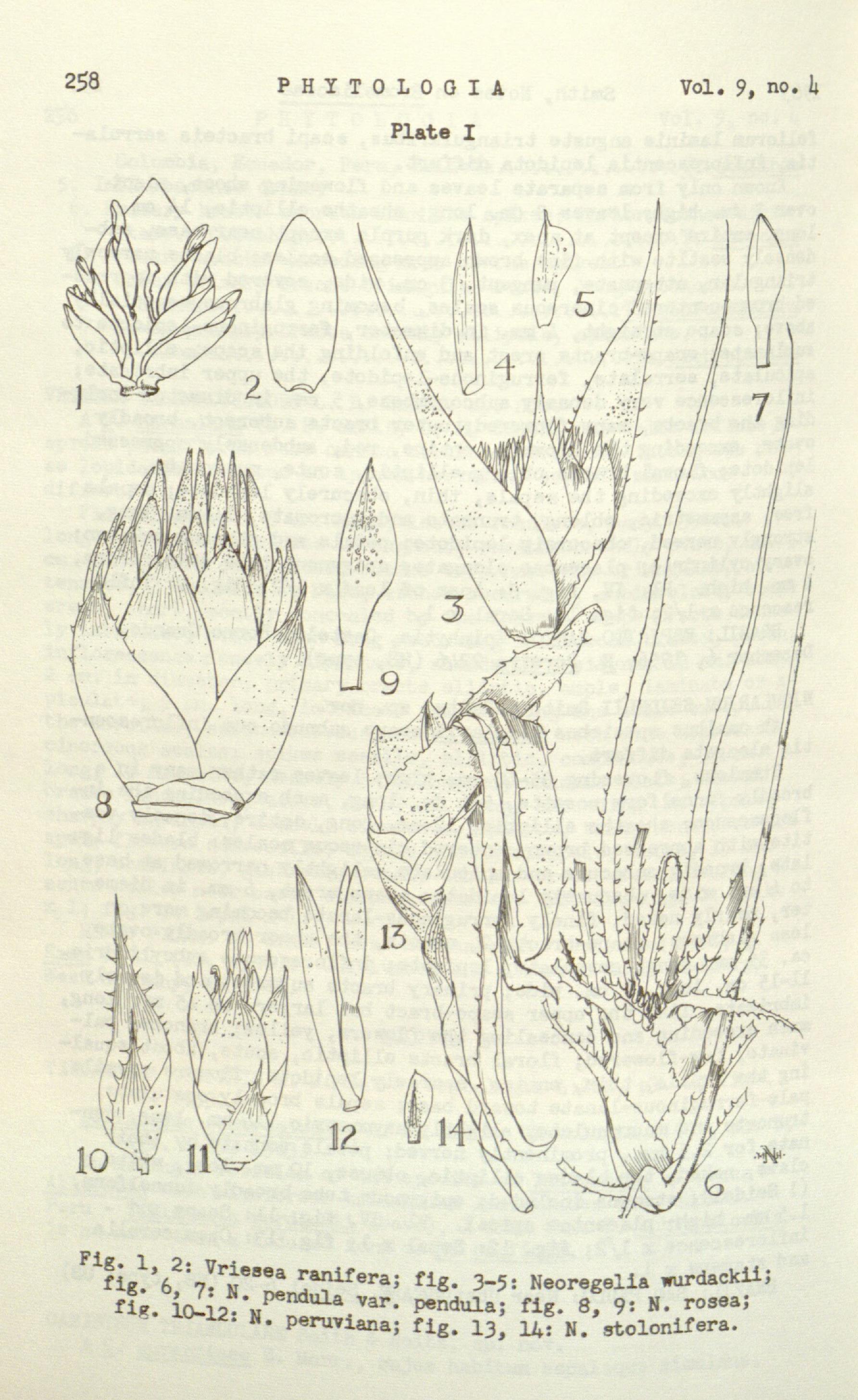 no full size  illustration available (3a)