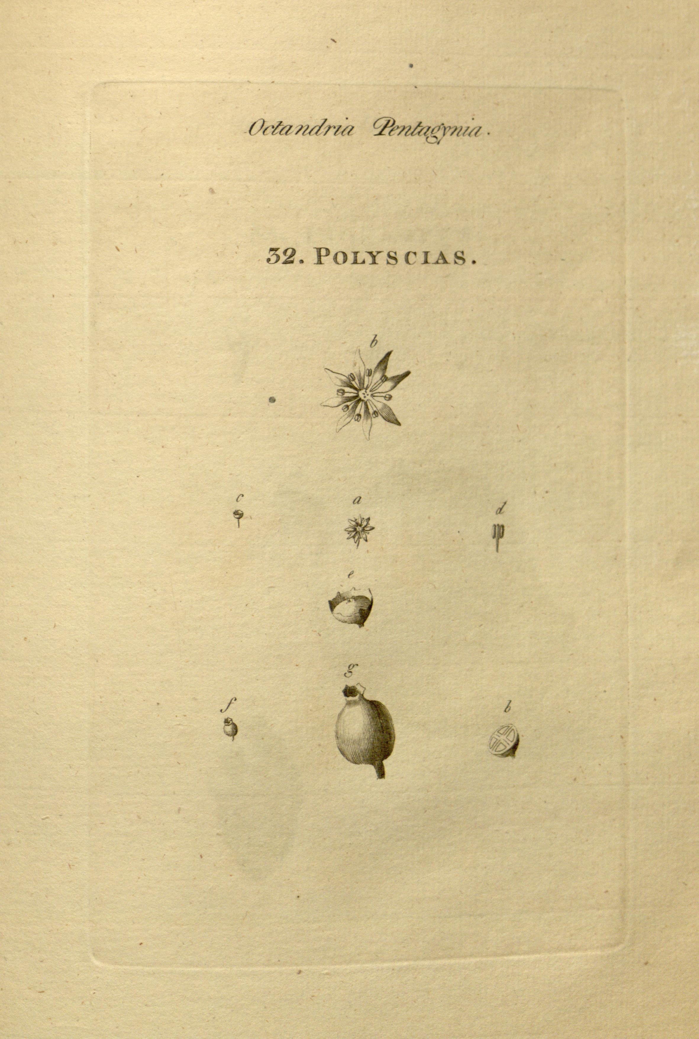 no full size  illustration available (3a)