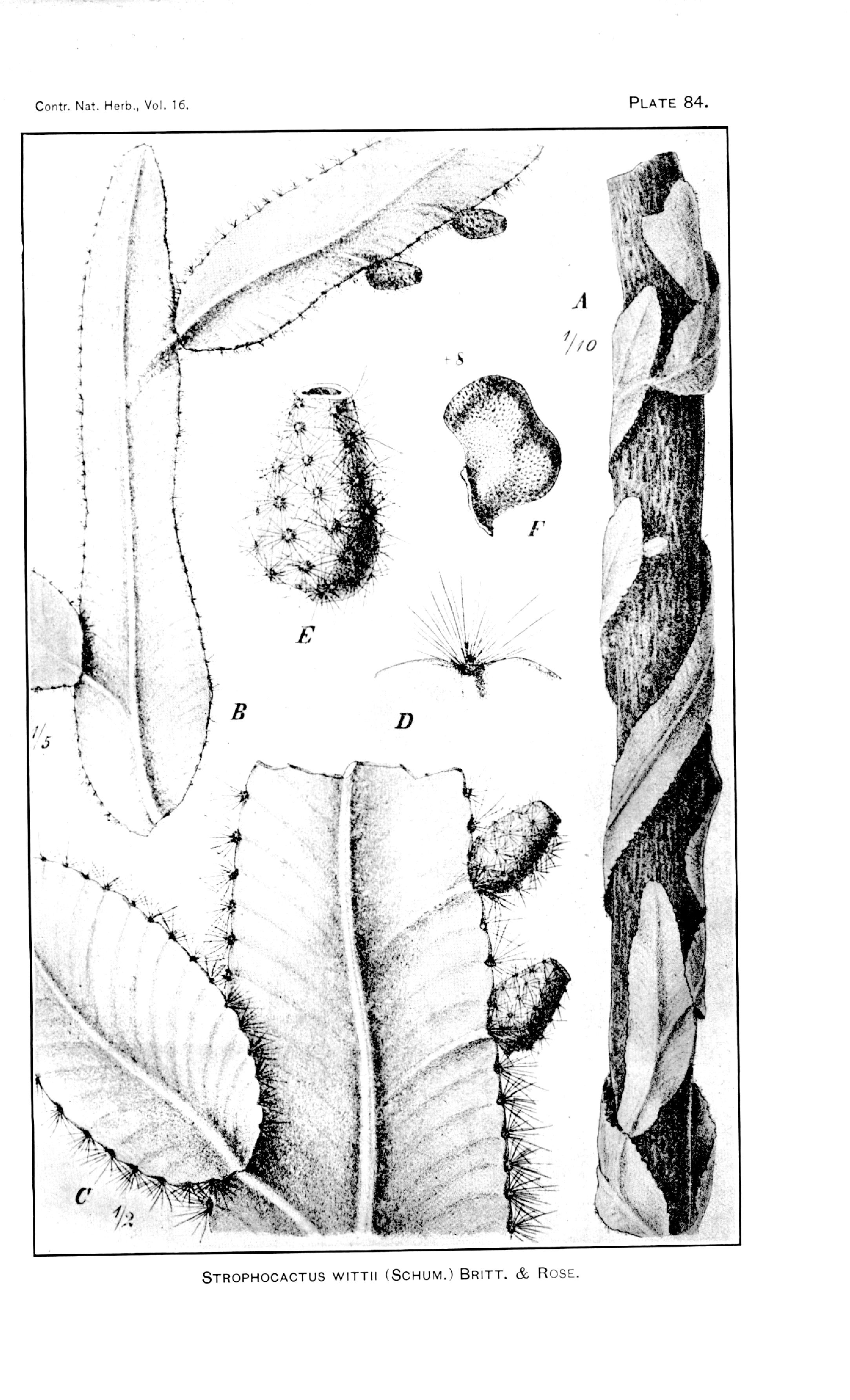 no full size  illustration available (3a)