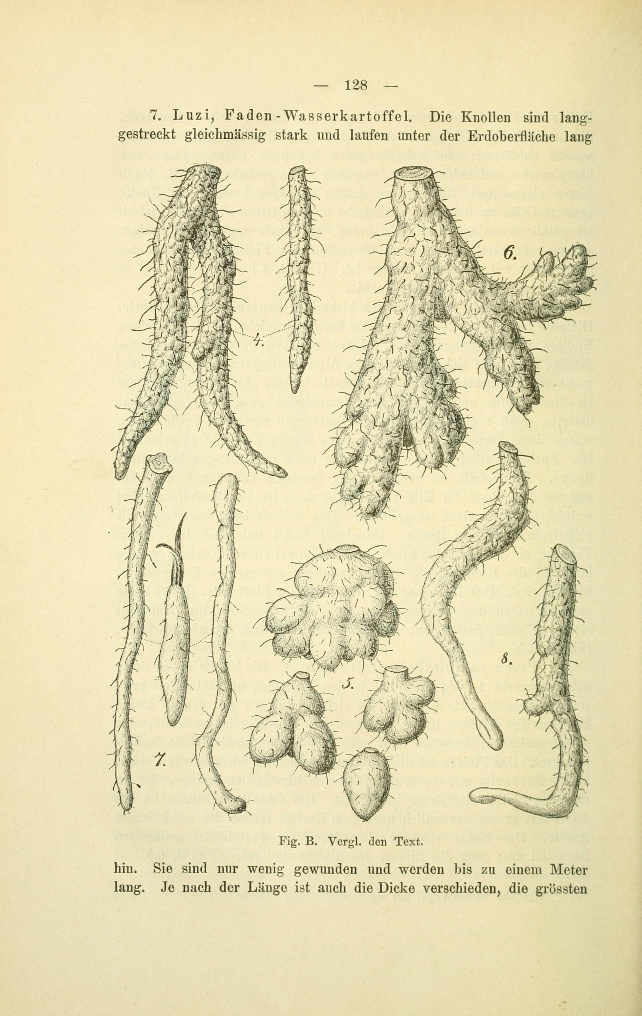 no full size  illustration available (3a)