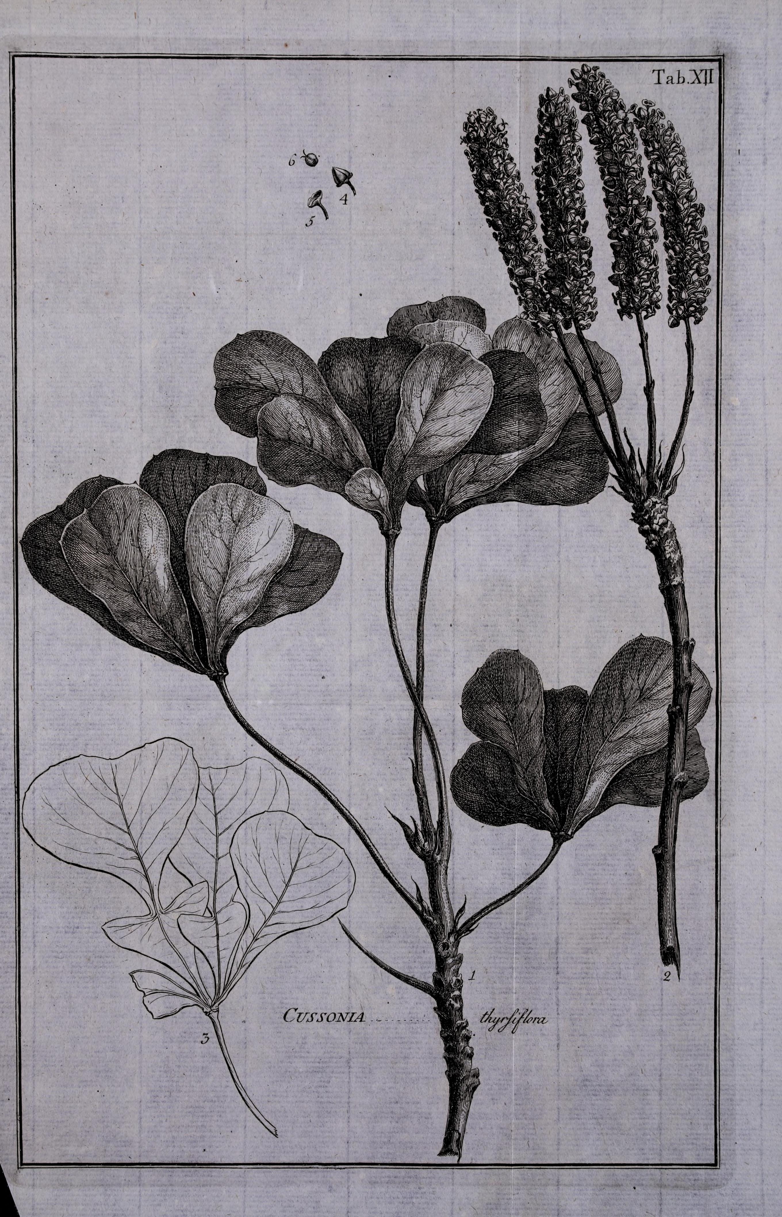 no full size  illustration available (3a)