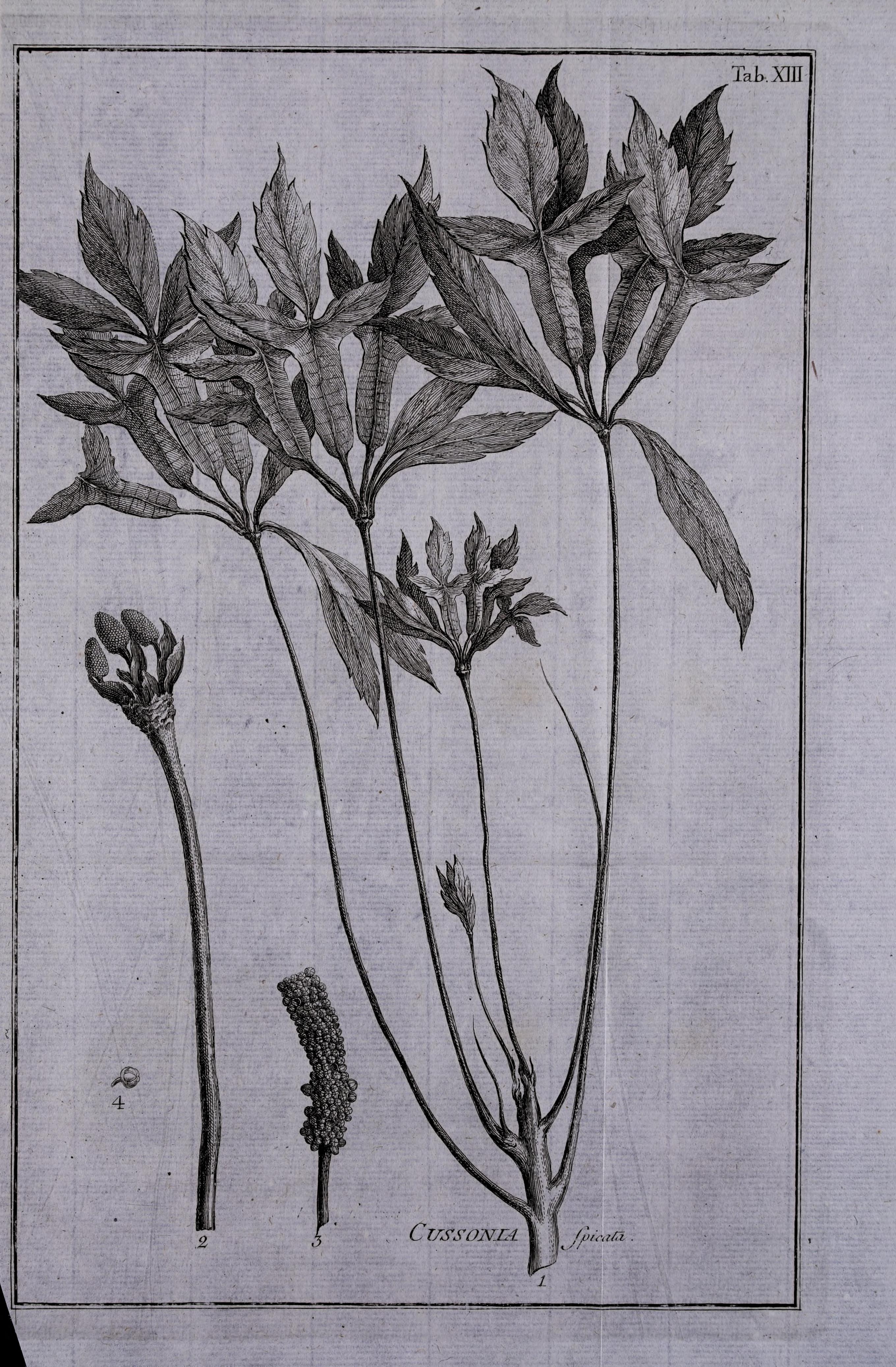 no full size  illustration available (3a)