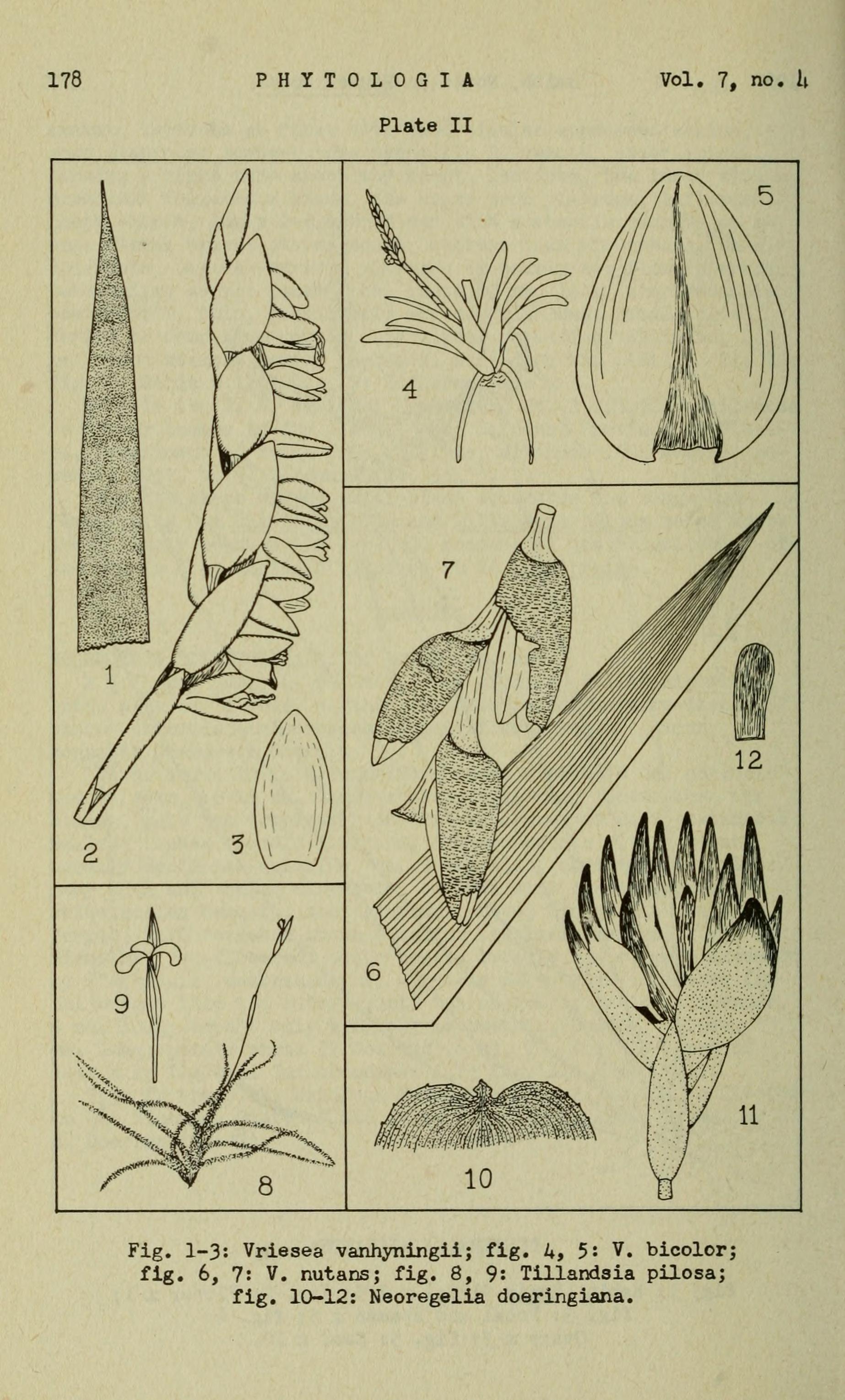 no full size  illustration available (3a)