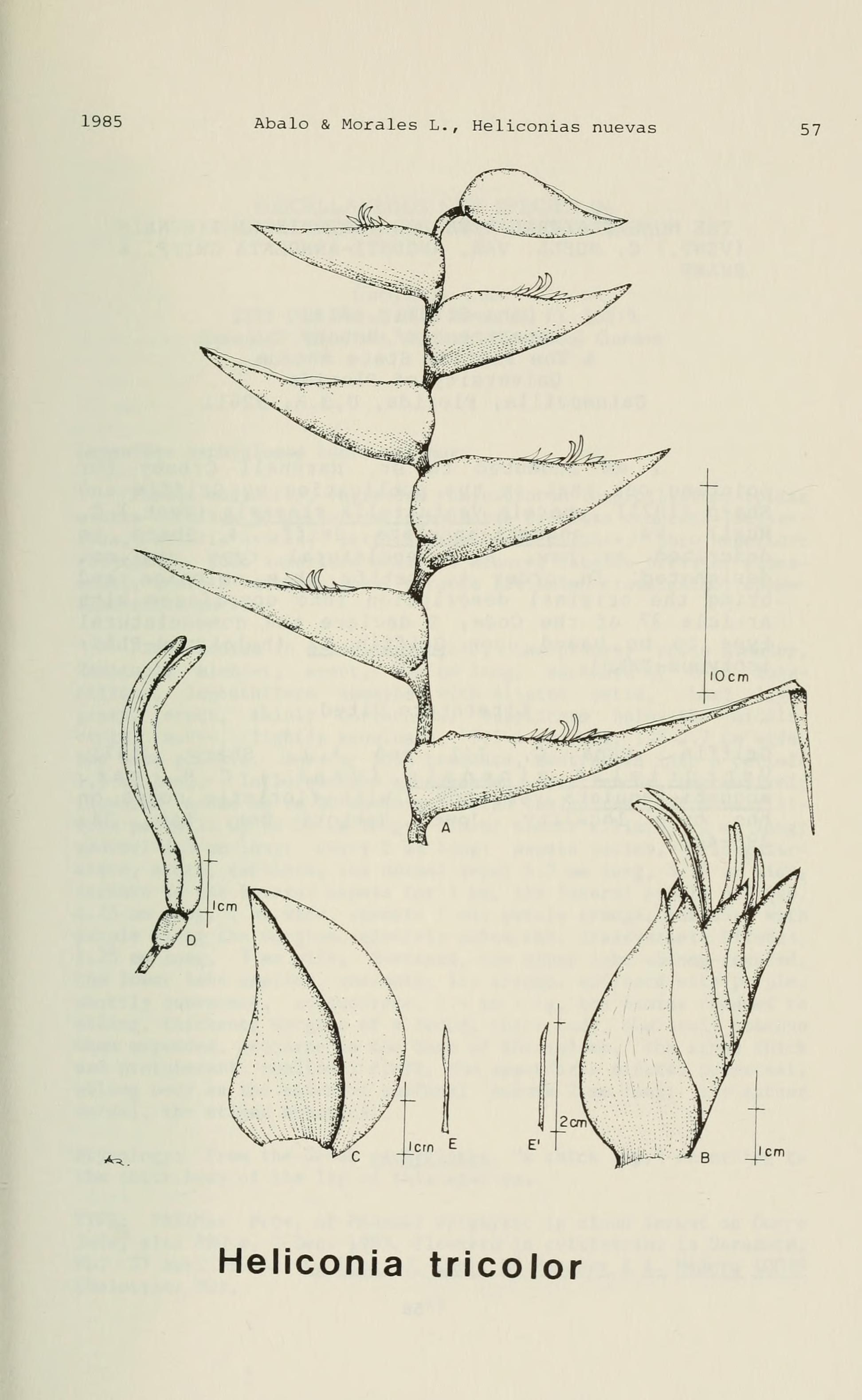 no full size  illustration available (3a)