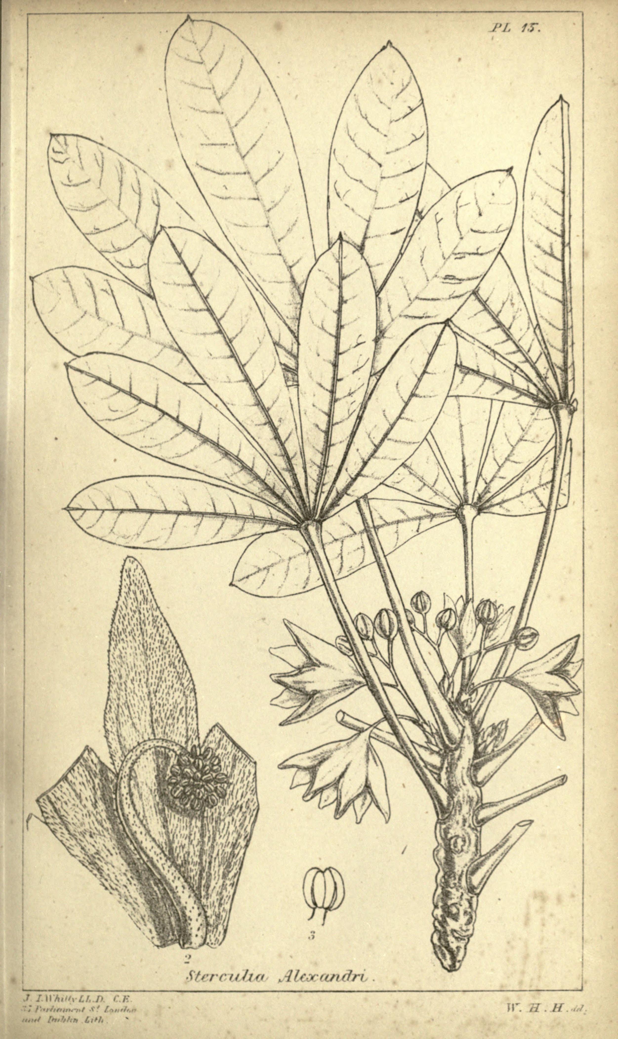 no full size  illustration available (3a)